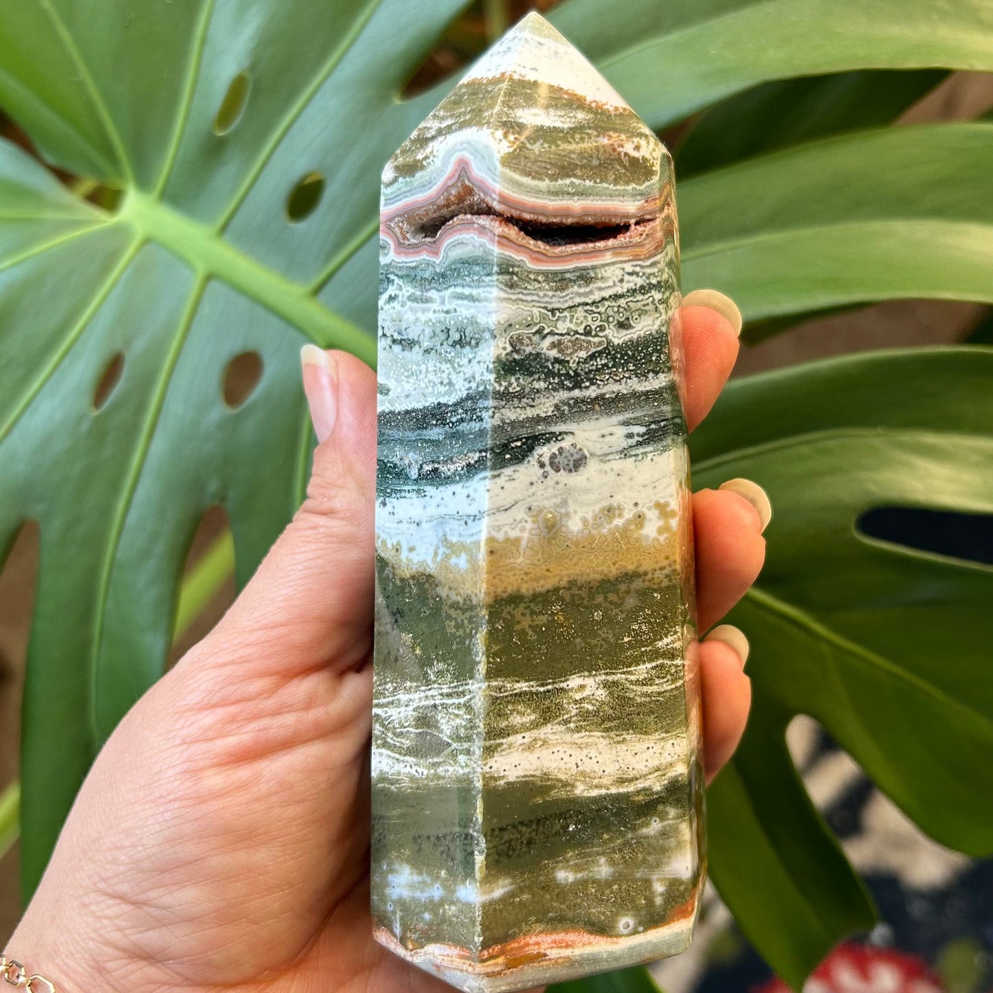 Hand holding a multicolored crystal against a leafy green background