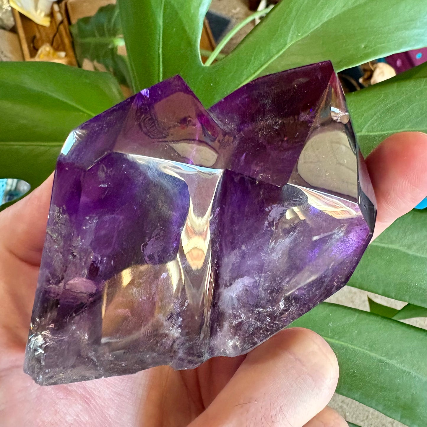 Amethyst crystal held in a hand with green leaves in the background