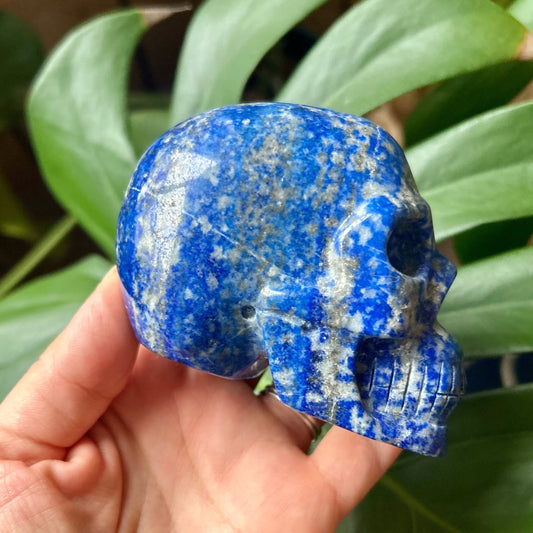Blue stone skull held by a hand with green leaves in the background