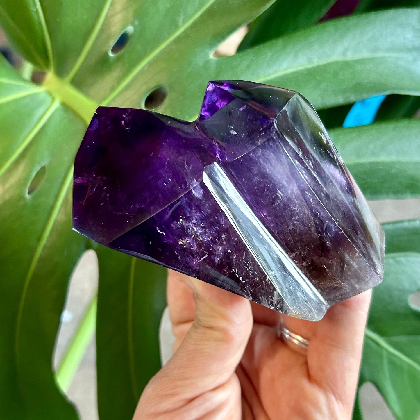 Hand holding a purple crystal against a green leafy background