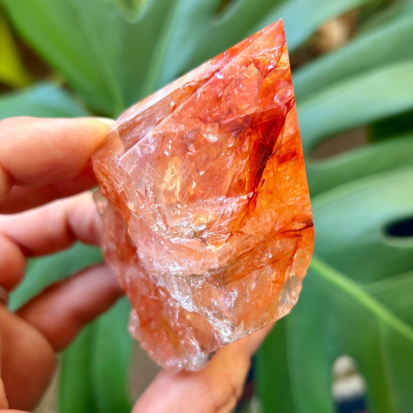 Hand holding a large orange crystal with green foliage in the background