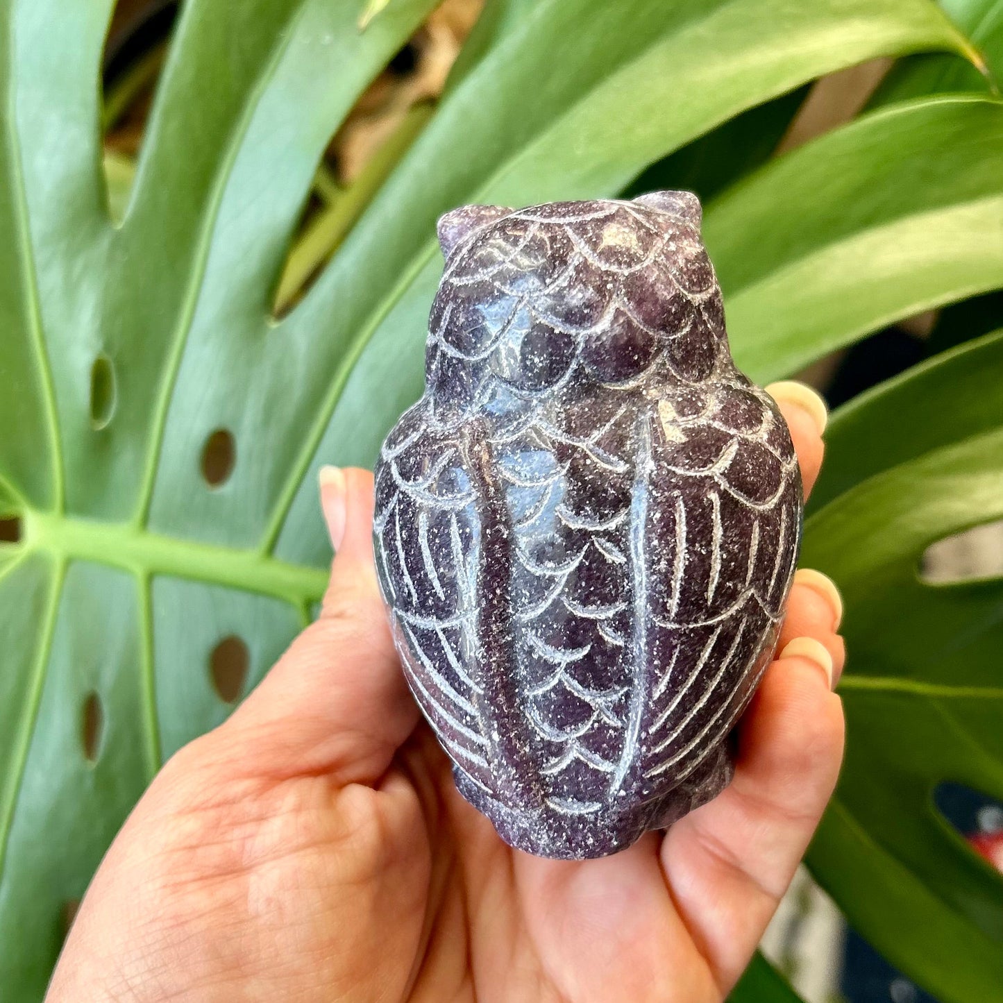 Hand holding a textured stone against a green leafy background