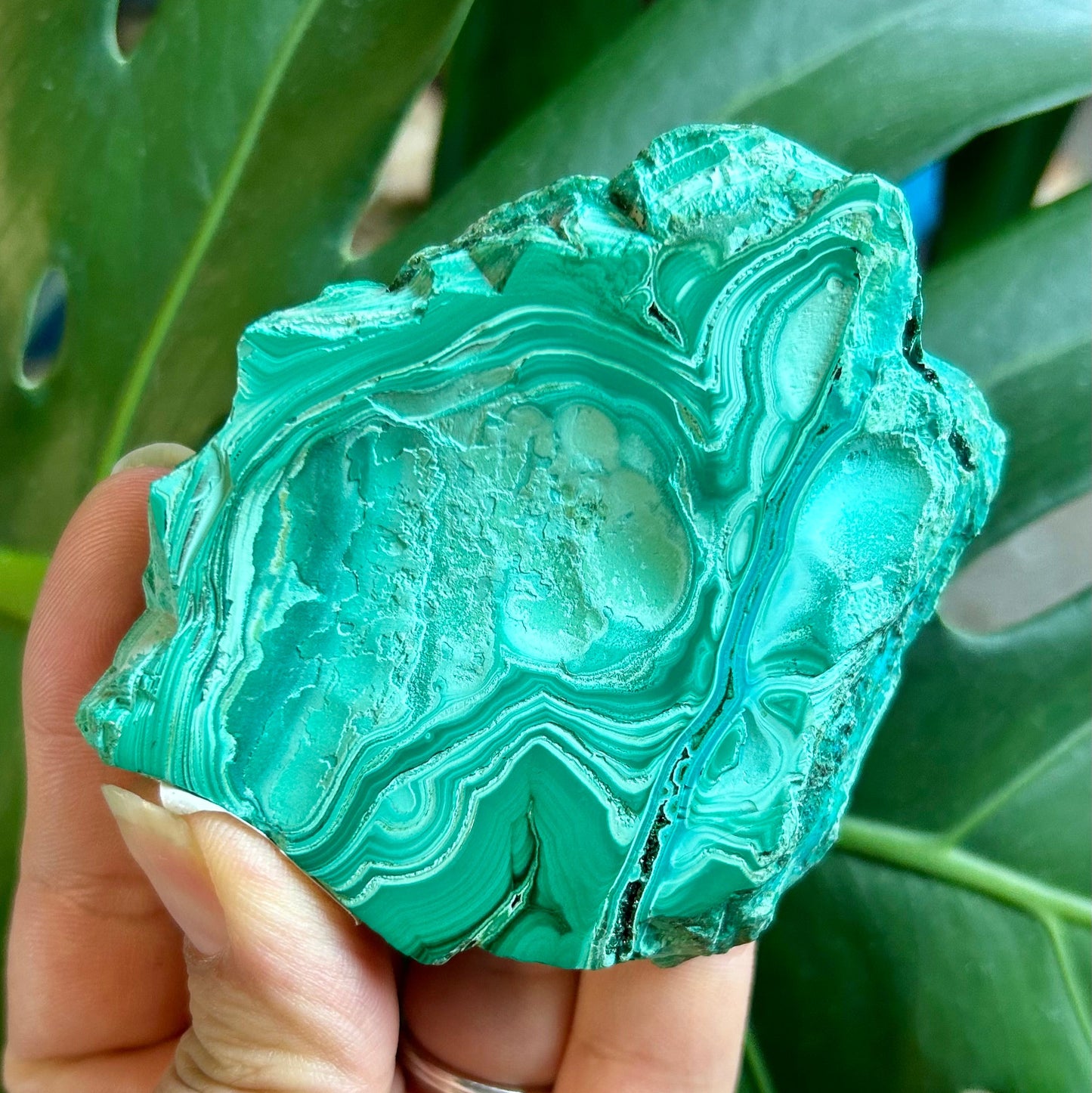 Hand holding a green malachite crystal with a leafy background