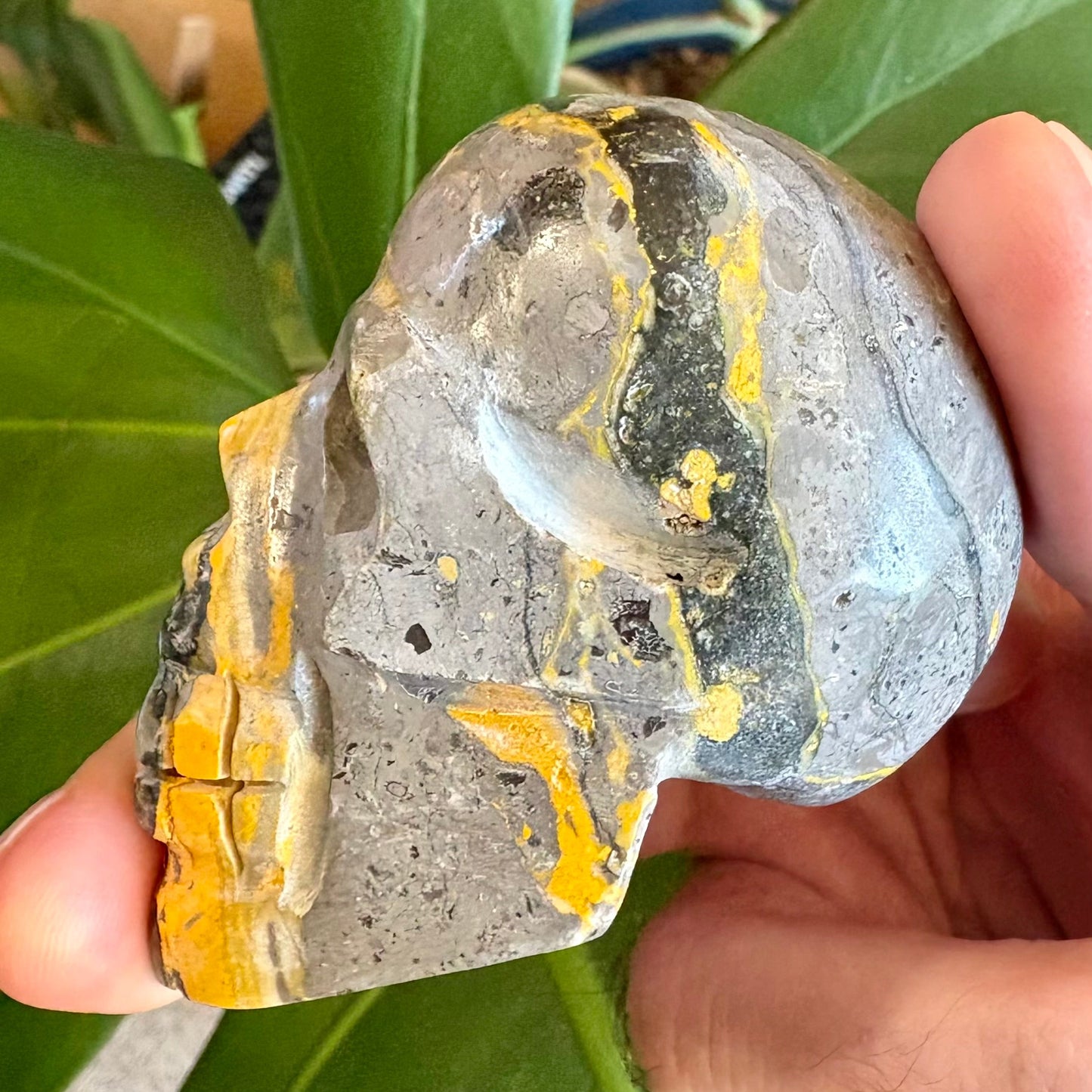 Hand holding a decorative stone with yellow and gray patterns against a green leafy background