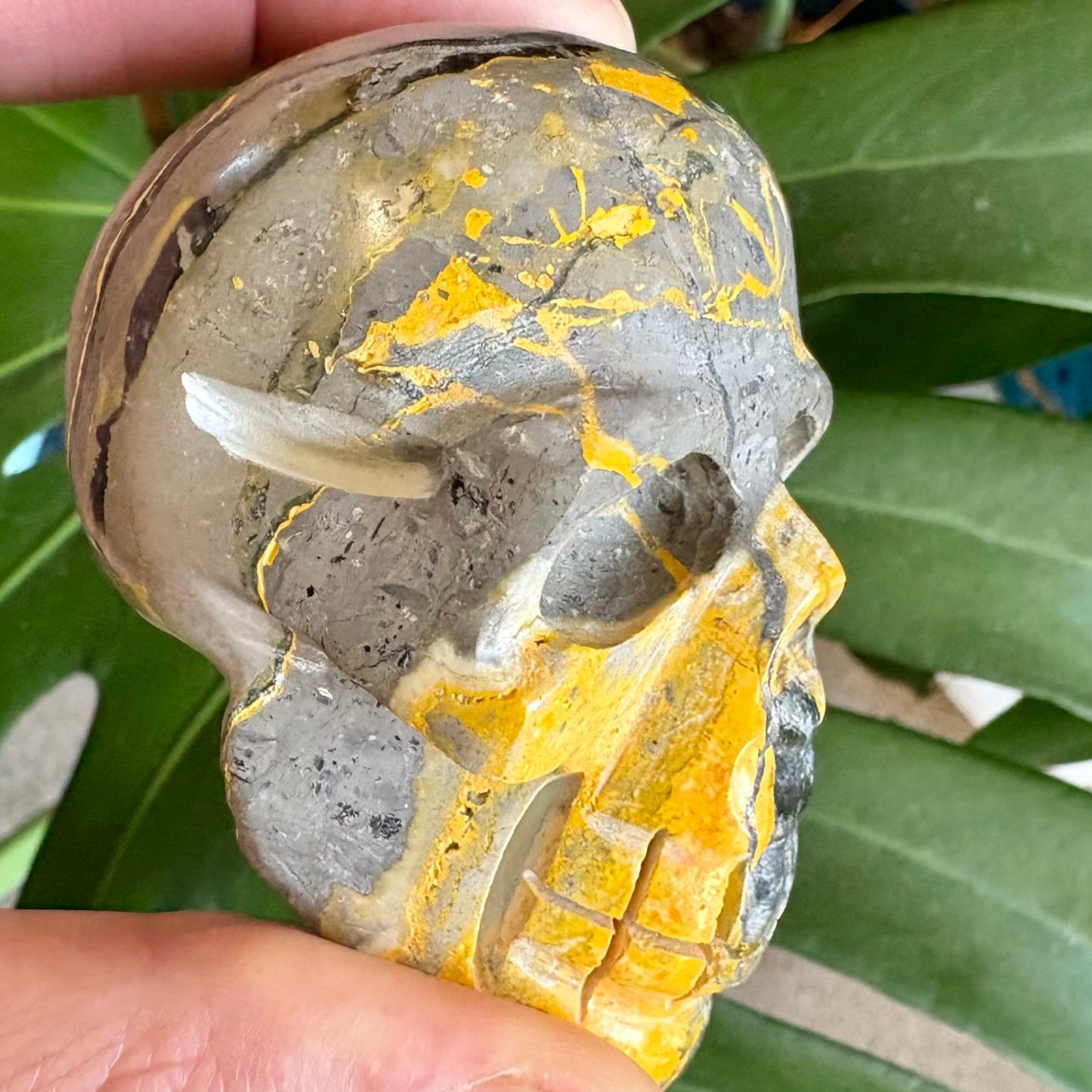 Decorative shell with a yellowish substance held between fingers against green leaves.