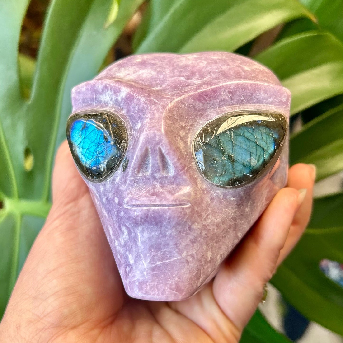 Hand holding a pink alien head figurine with green eyes against a plant background