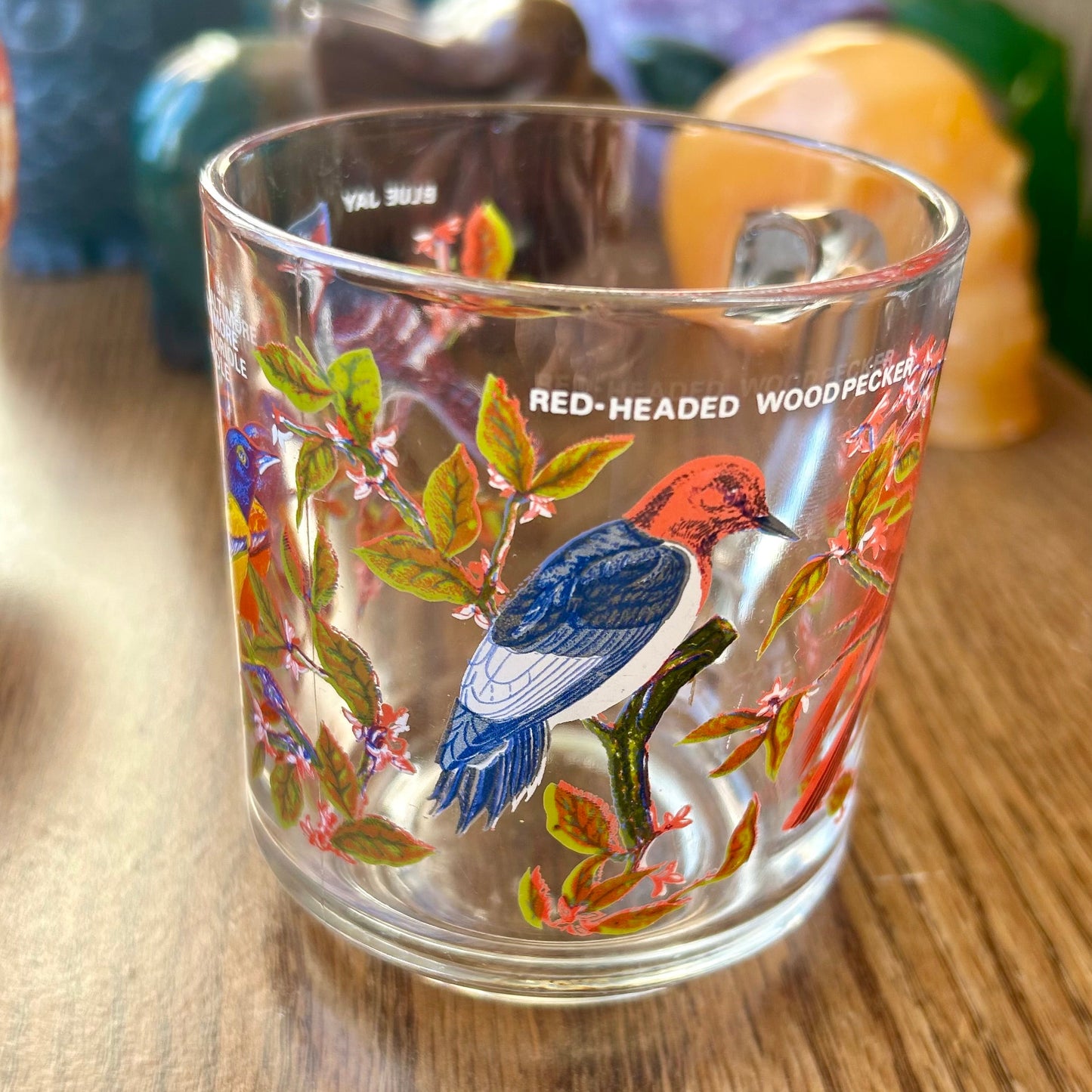 Glass tumbler with bird illustration on a wooden surface
