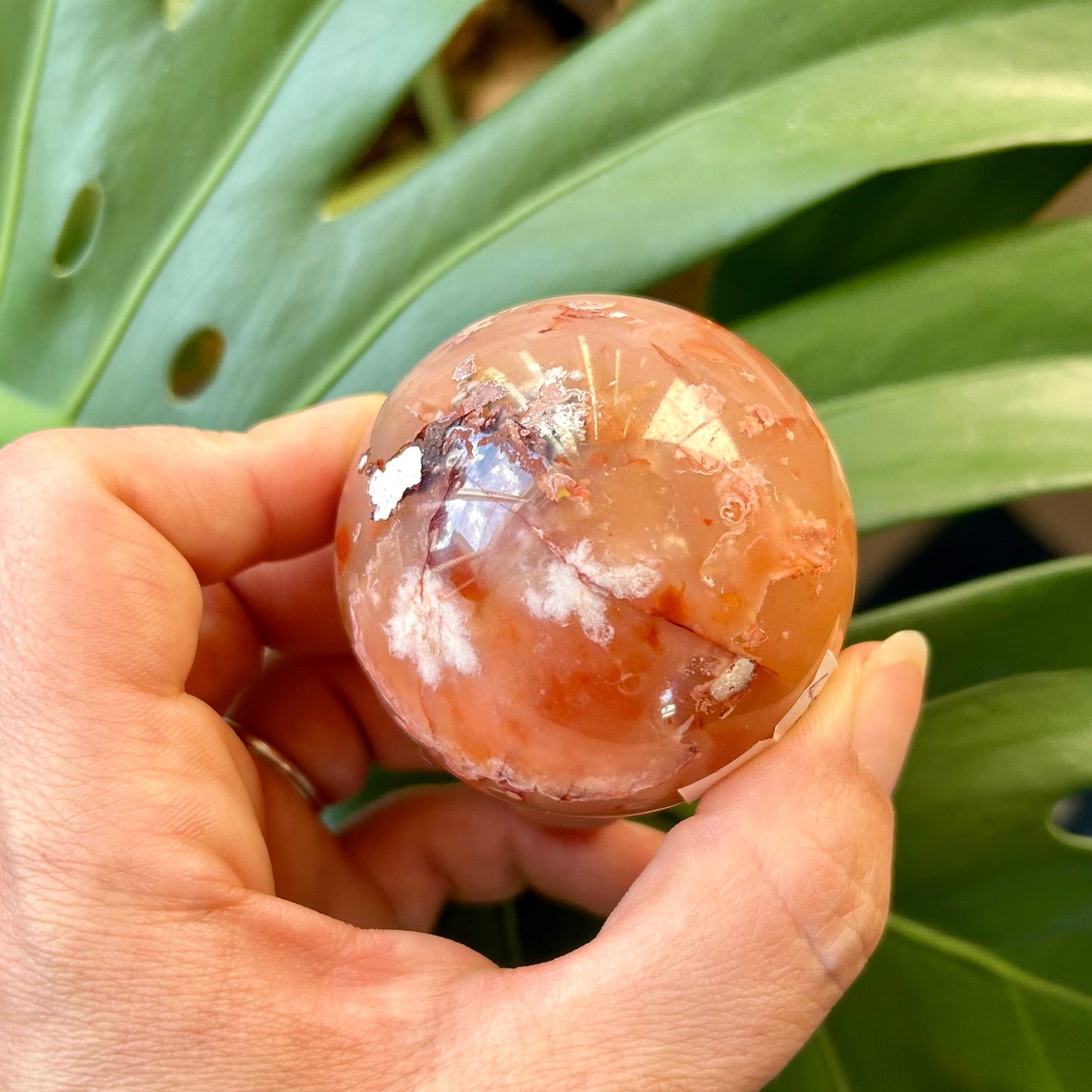 Hand holding a polished brown stone with green leaves in the background