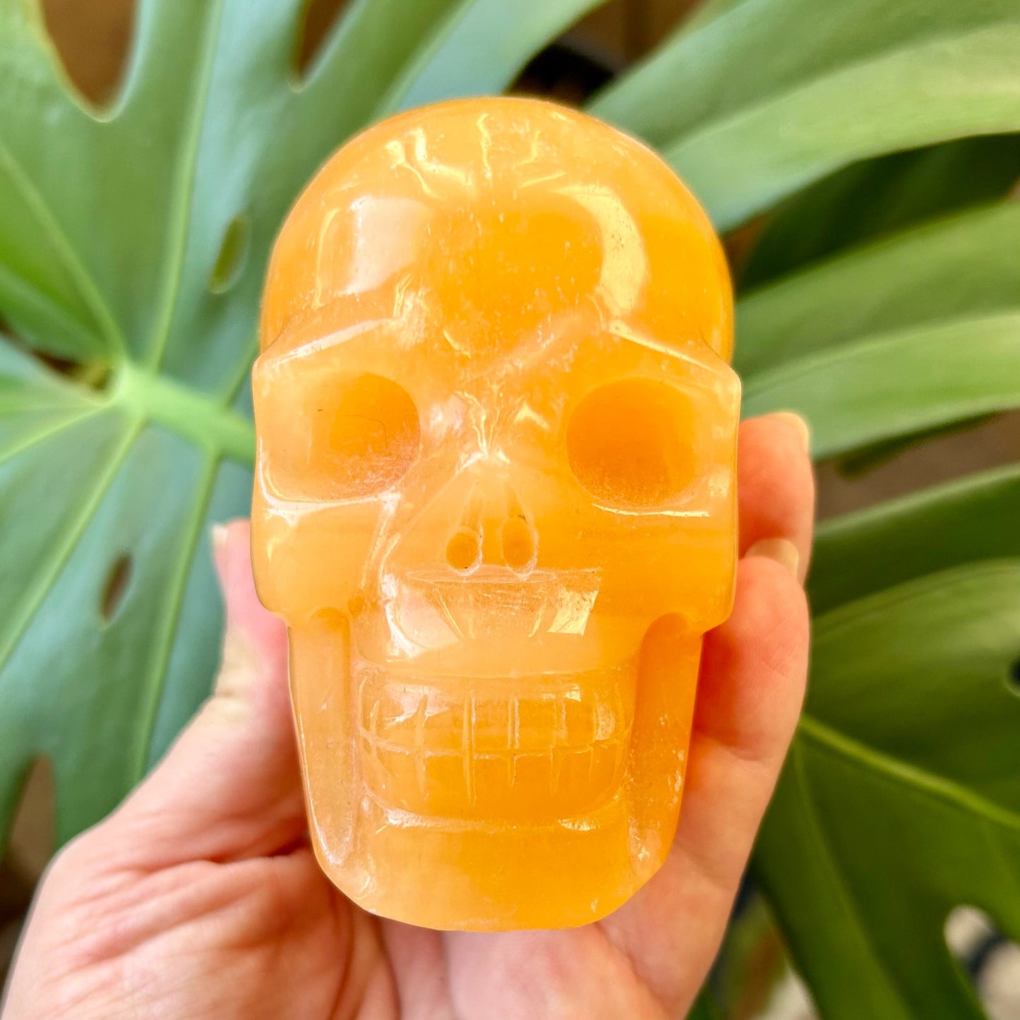 Hand holding a yellow crystal skull against a green leafy background