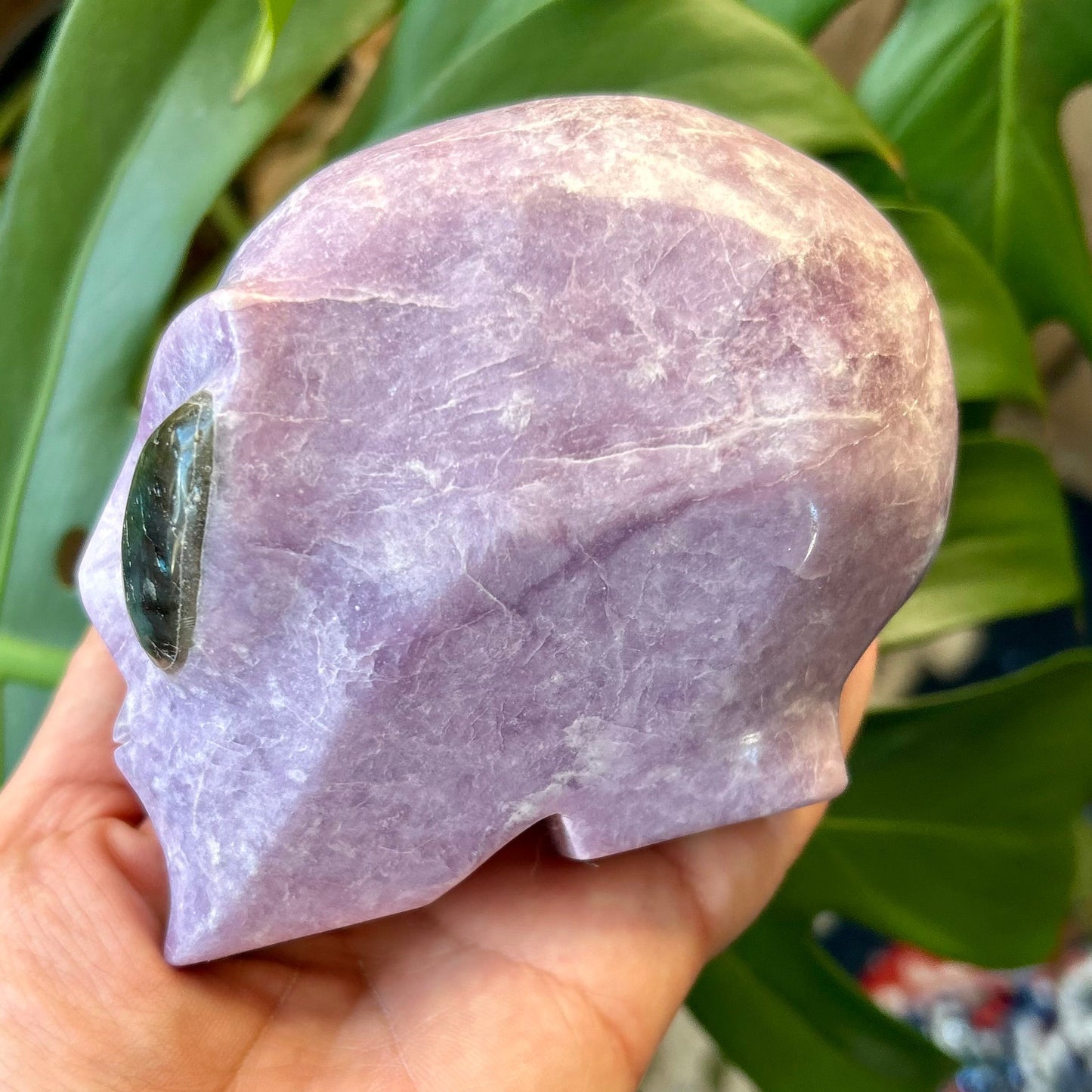Hand holding a purple crystal ball with green stone in front of green leaves