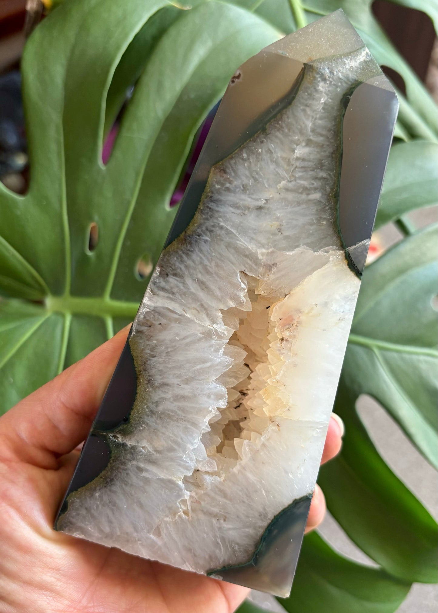 Hand holding a piece of raw fish with a green leafy background