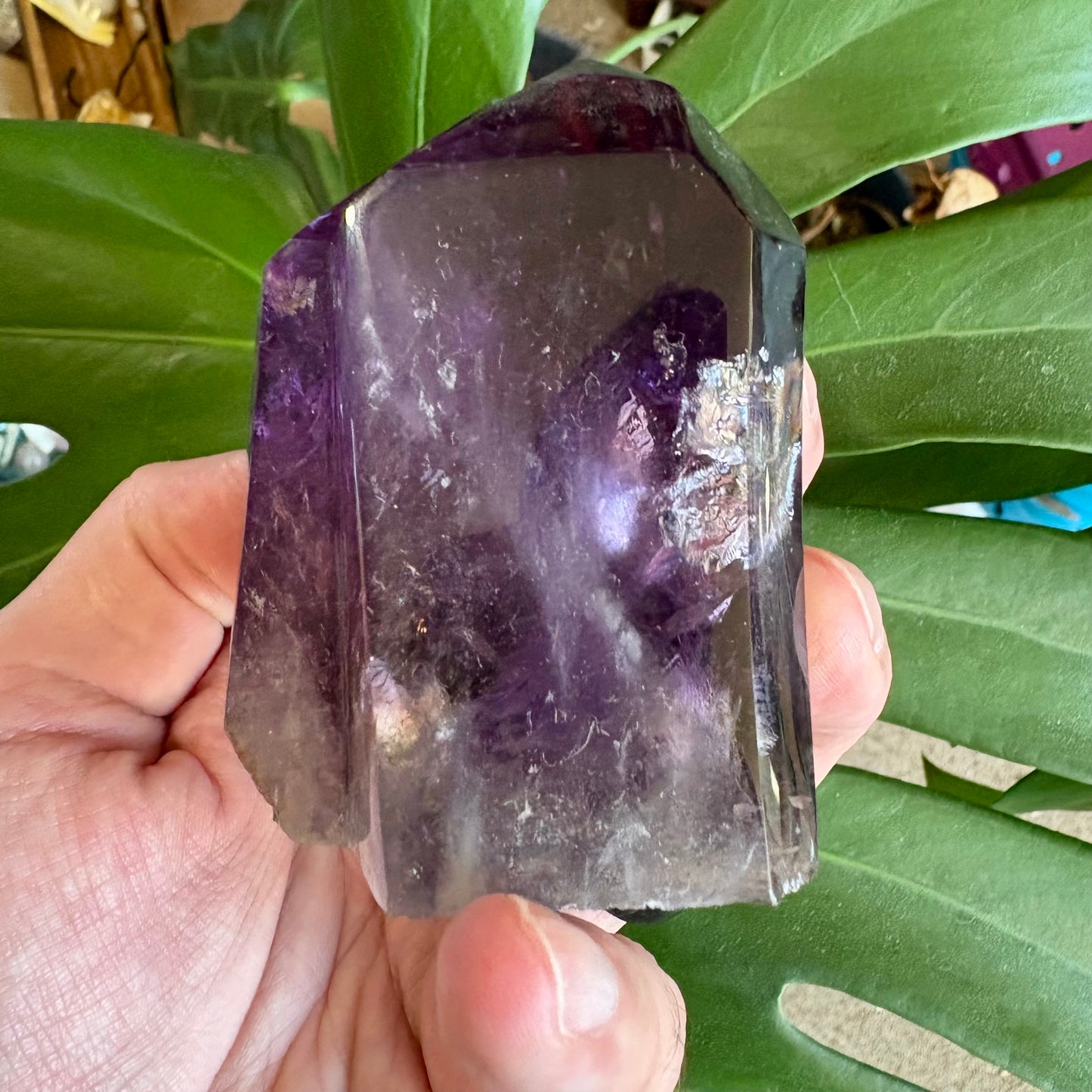Amethyst crystal held in a hand with green leaves in the background