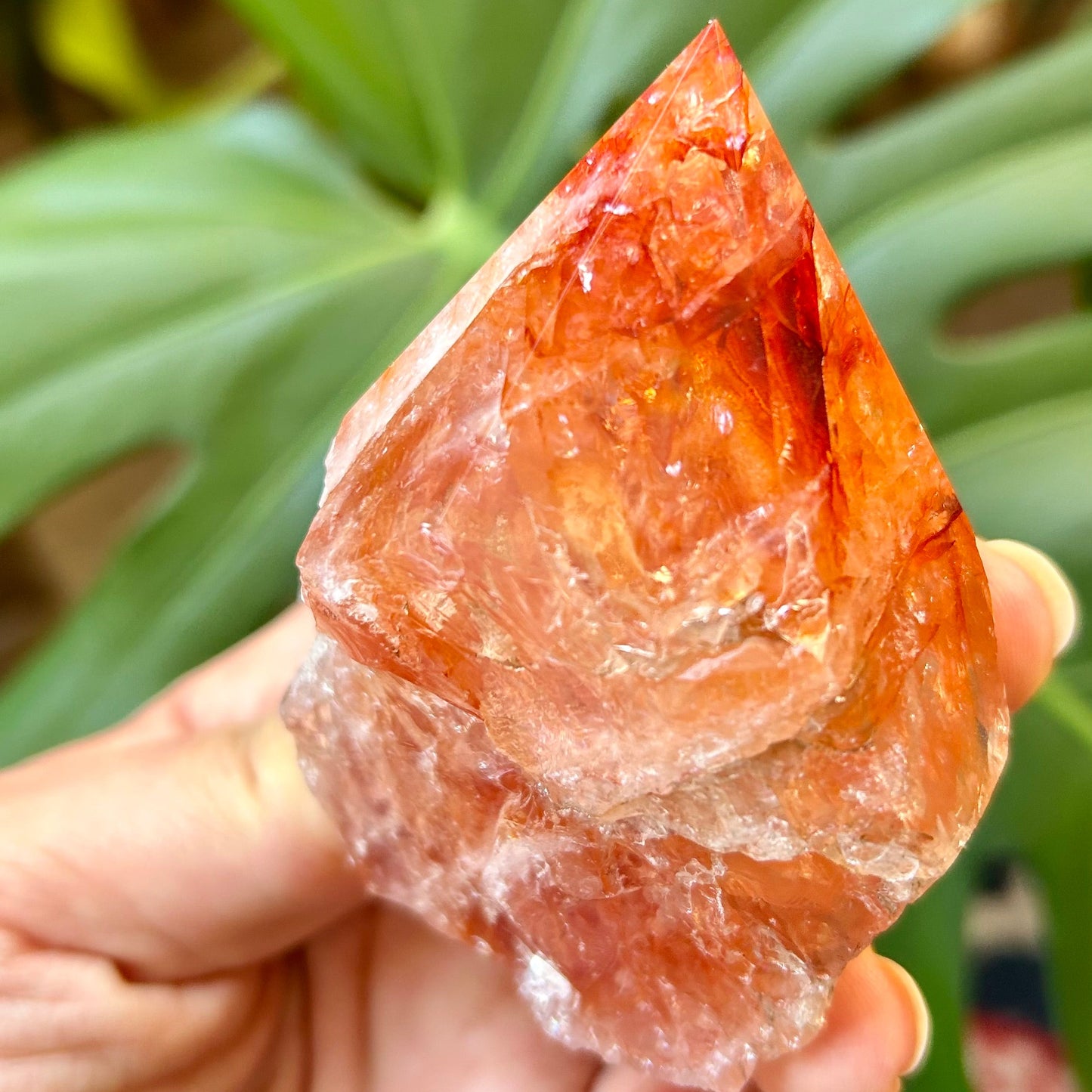 Hand holding a large crystal with a blurred green leafy background