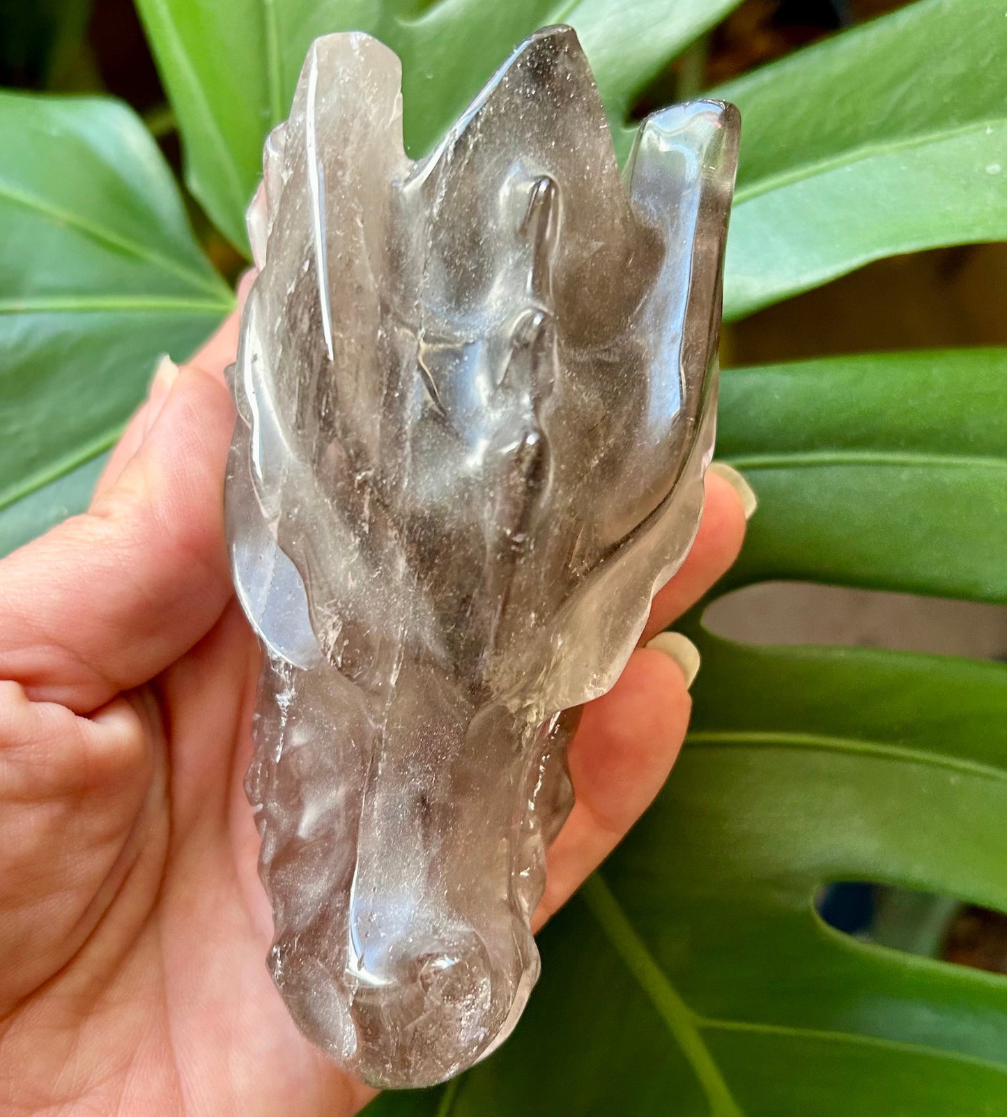 Clear crystal object held in front of green leaves