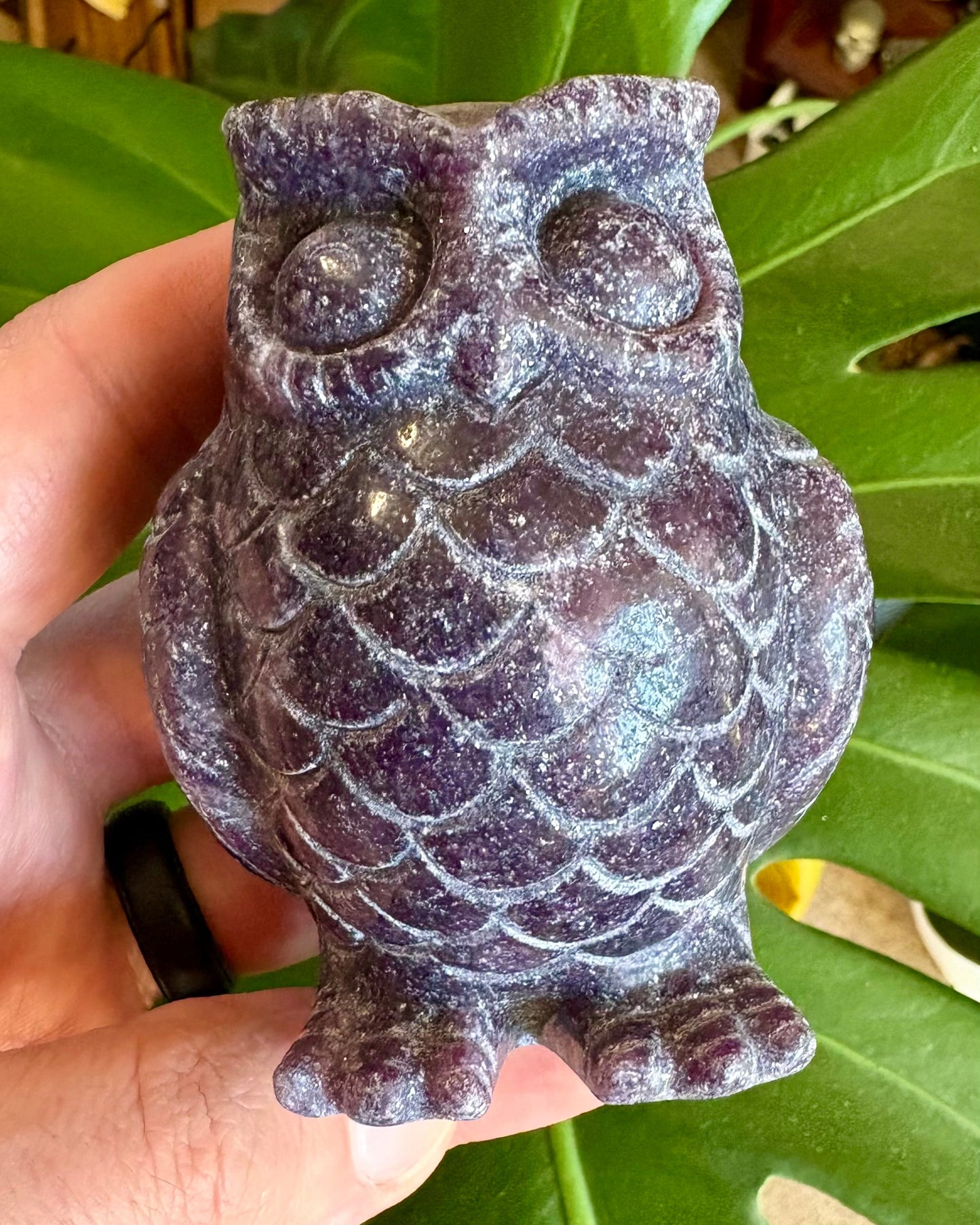 Purple crystal owl figurine held against a green leaf background