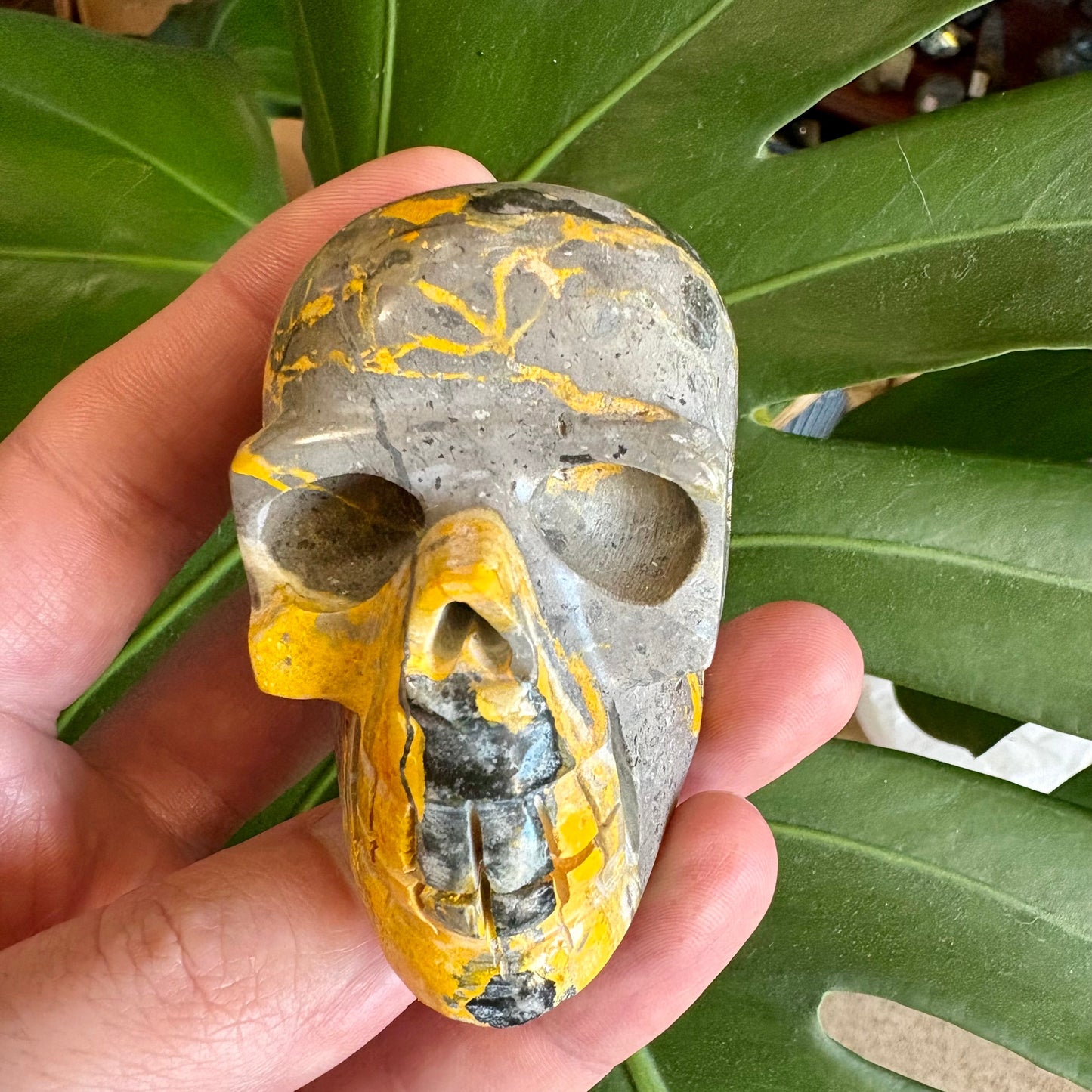 Hand holding a stone skull with yellow and gray colors against a green leaf background