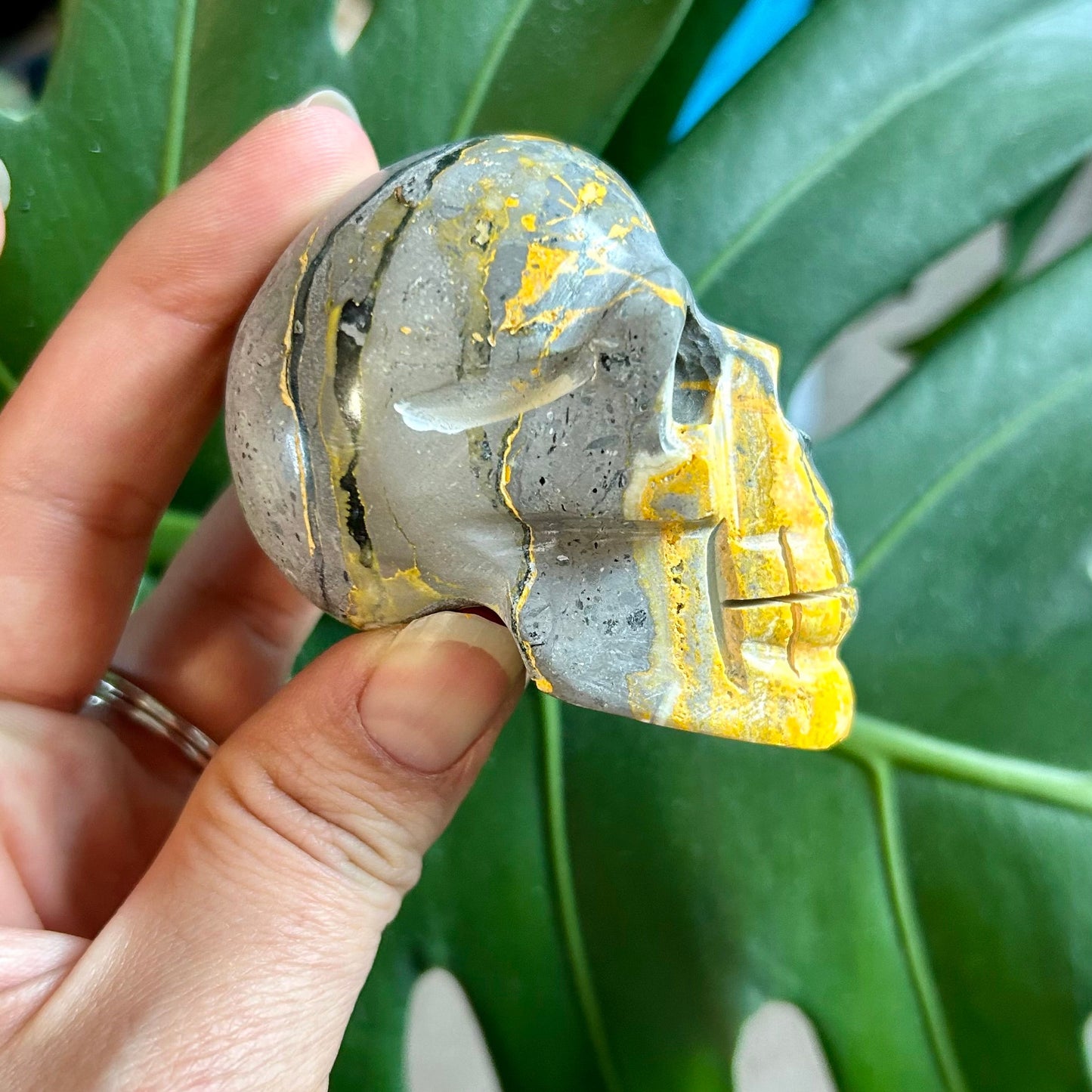 Hand holding a small gray and yellow object against a green leafy background
