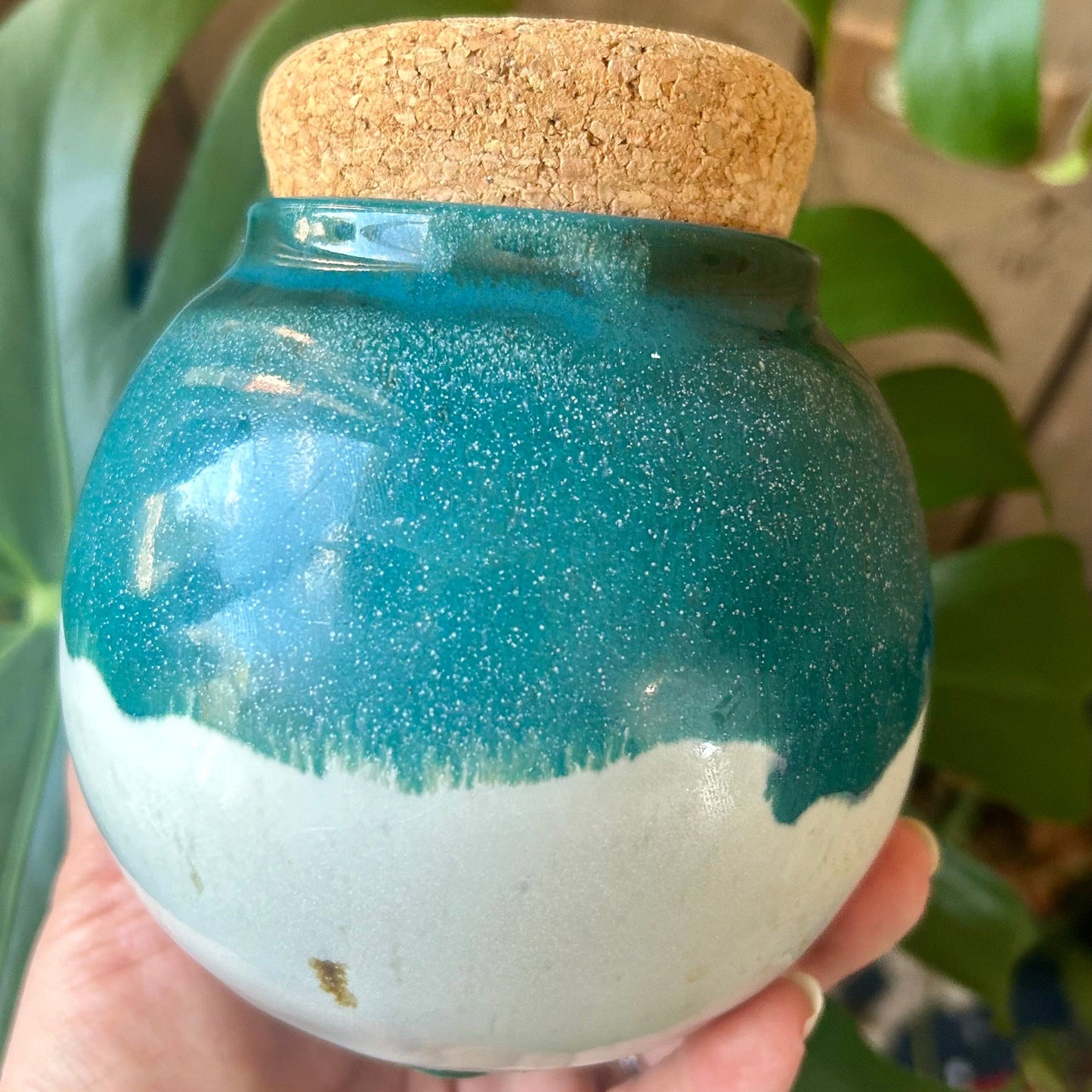 Hand holding a two-toned glass jar with a cork lid against a blurred green plant background