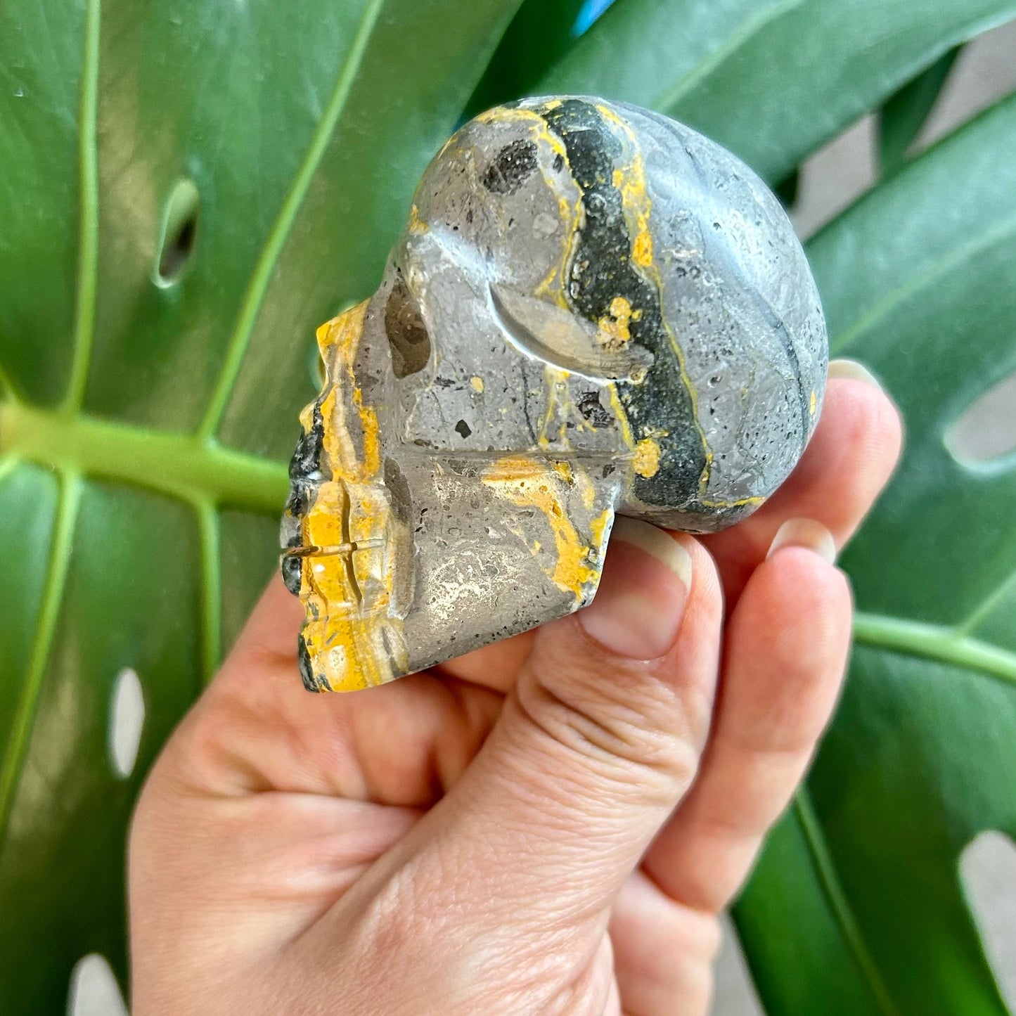 Hand holding a polished stone with yellow and gray patterns against a green leafy background