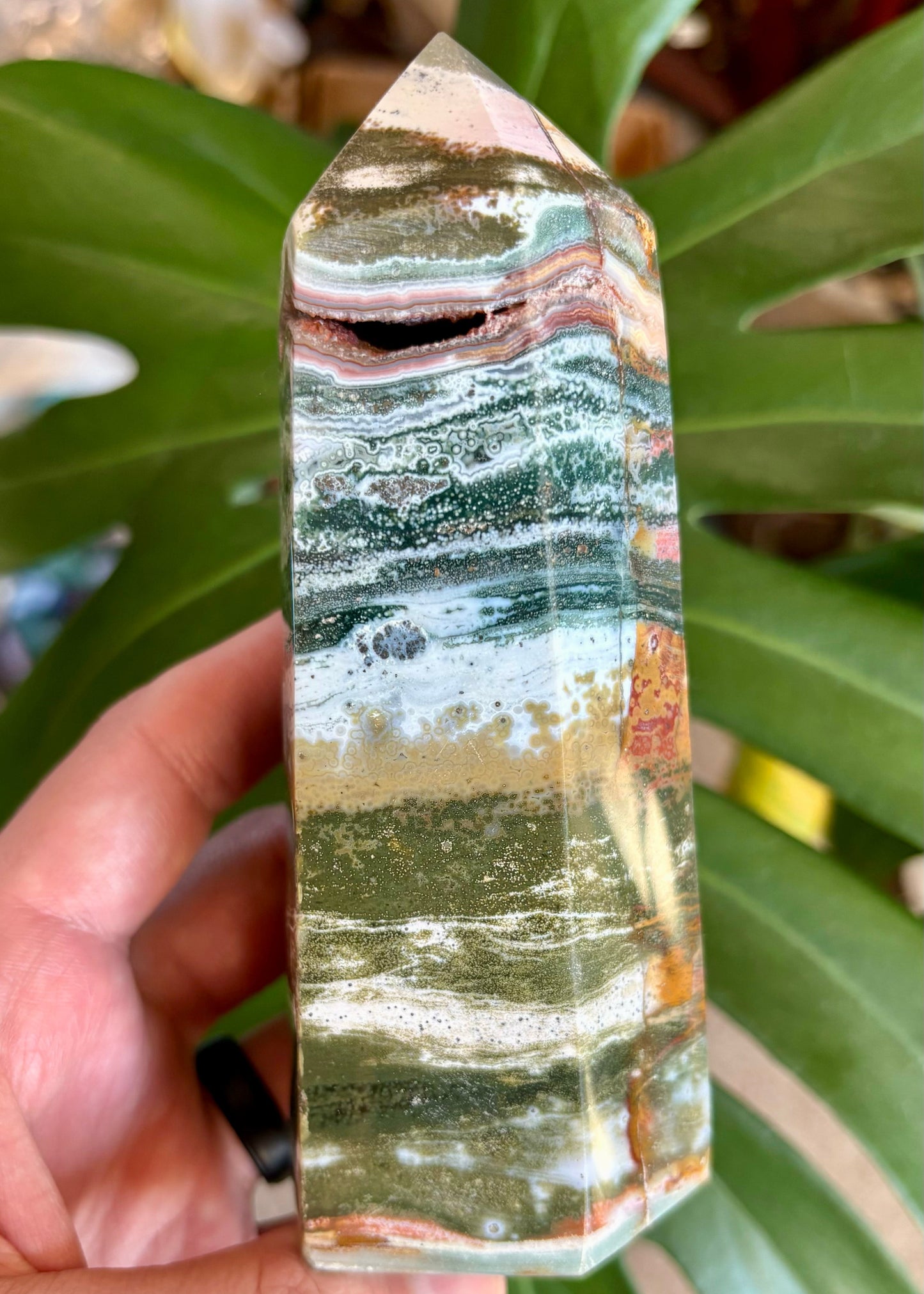 Crystal held by a hand with a green leafy background