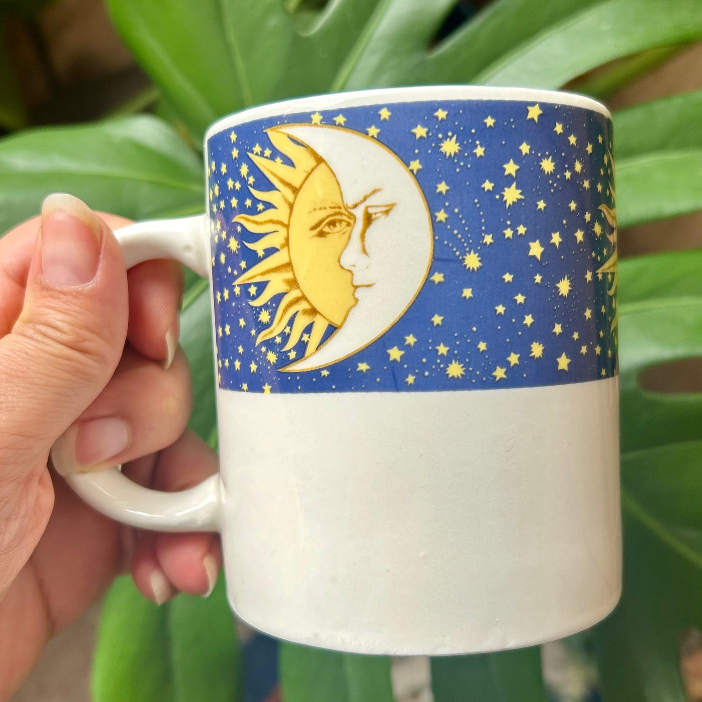 Mug with celestial design held by a hand in front of green foliage