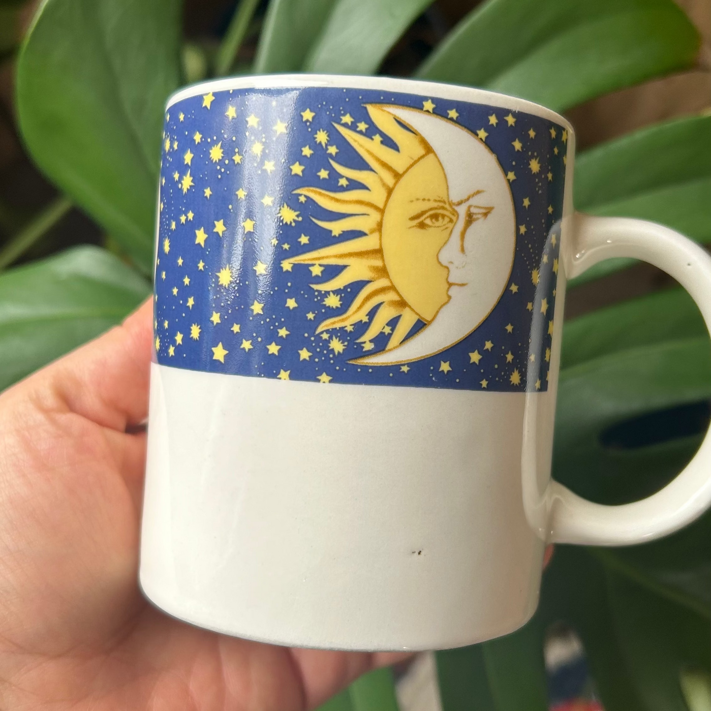 Mug with celestial design held by a hand in front of green leaves
