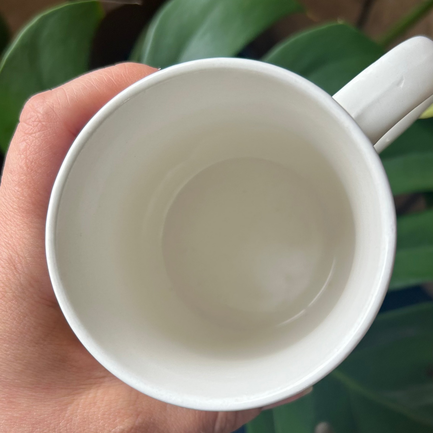 White mug held by a hand with a blurred background