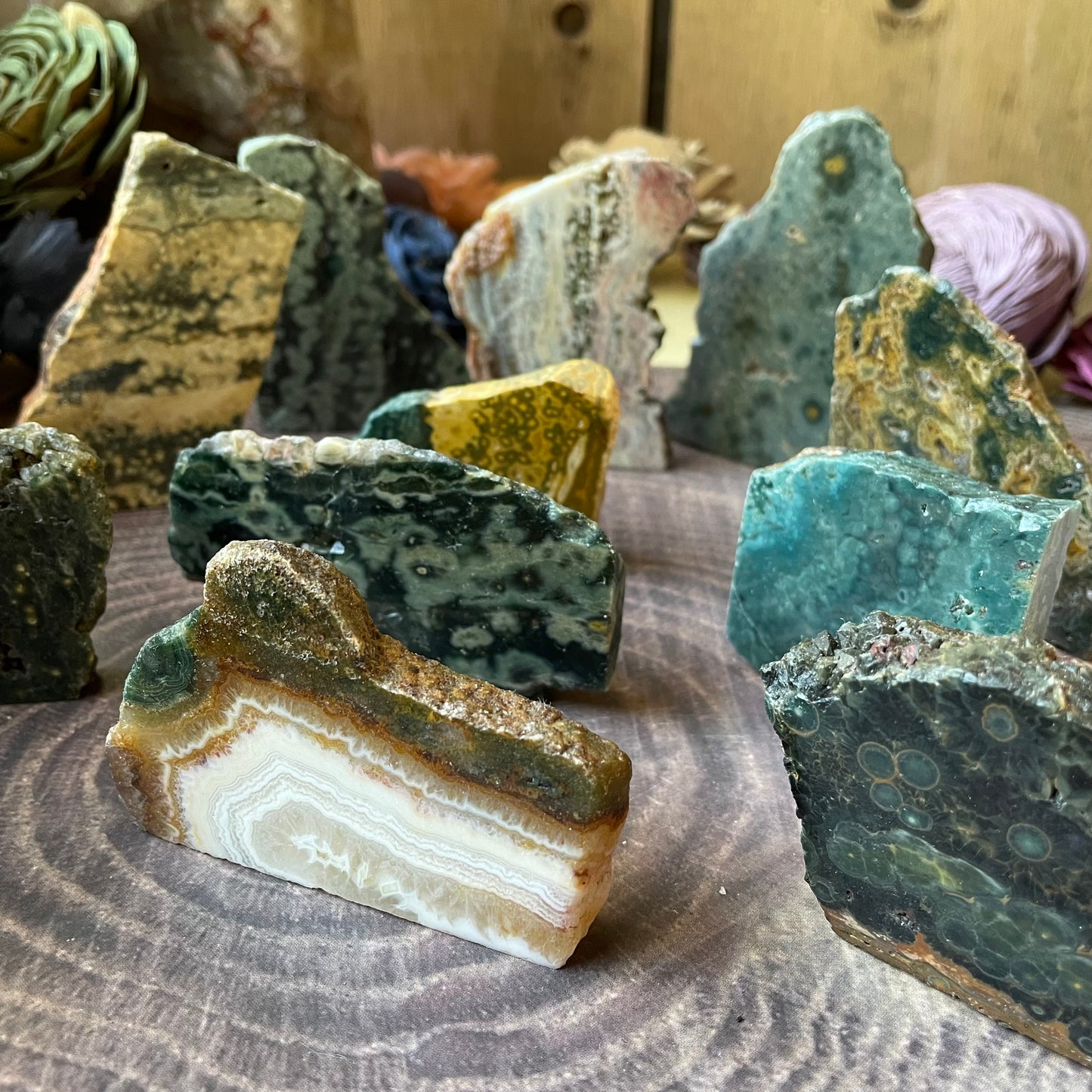 Ocean Jasper Standing Half Polished Slab
