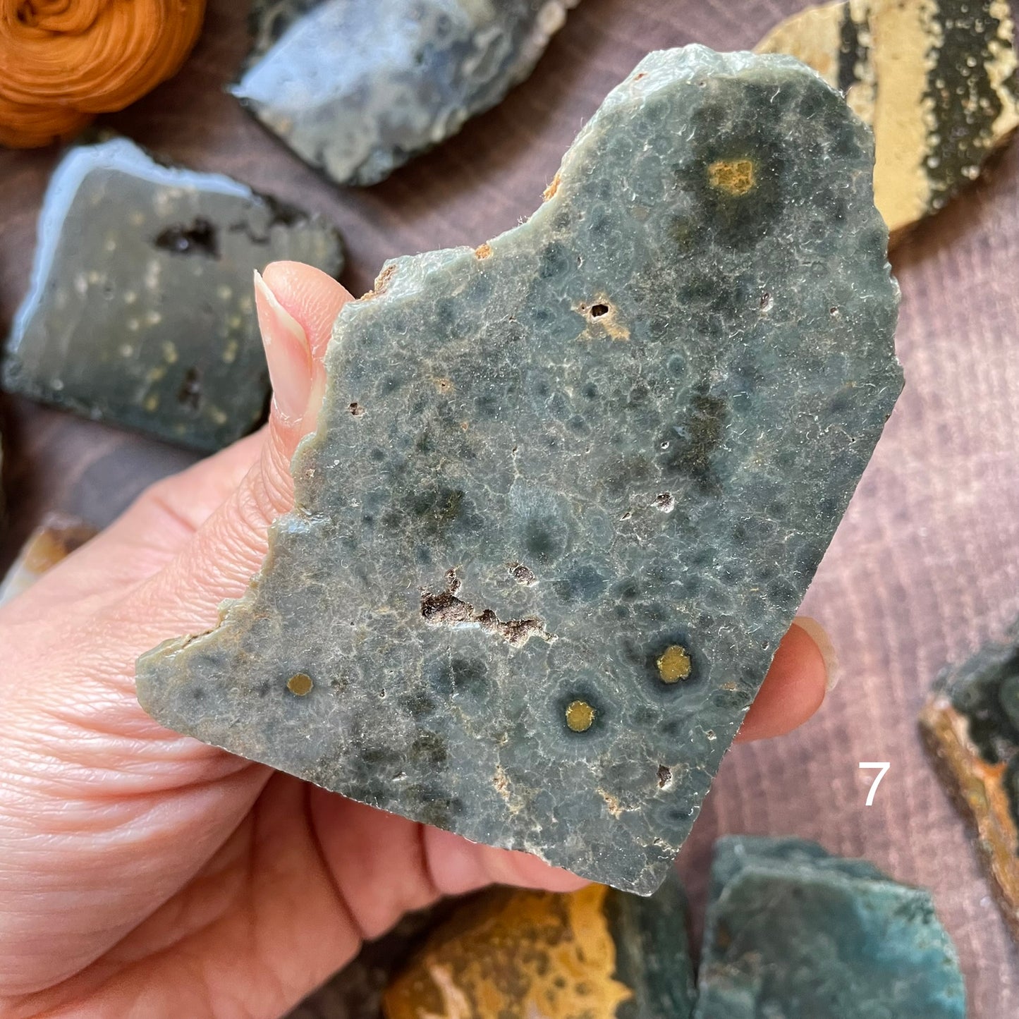 Ocean Jasper Standing Half Polished Slab