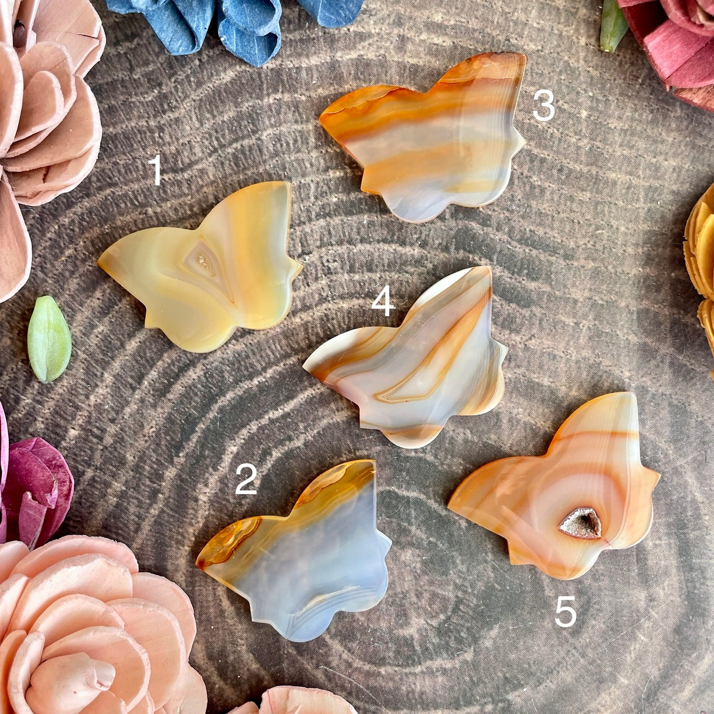 Carnelian Butterfly Cabochon