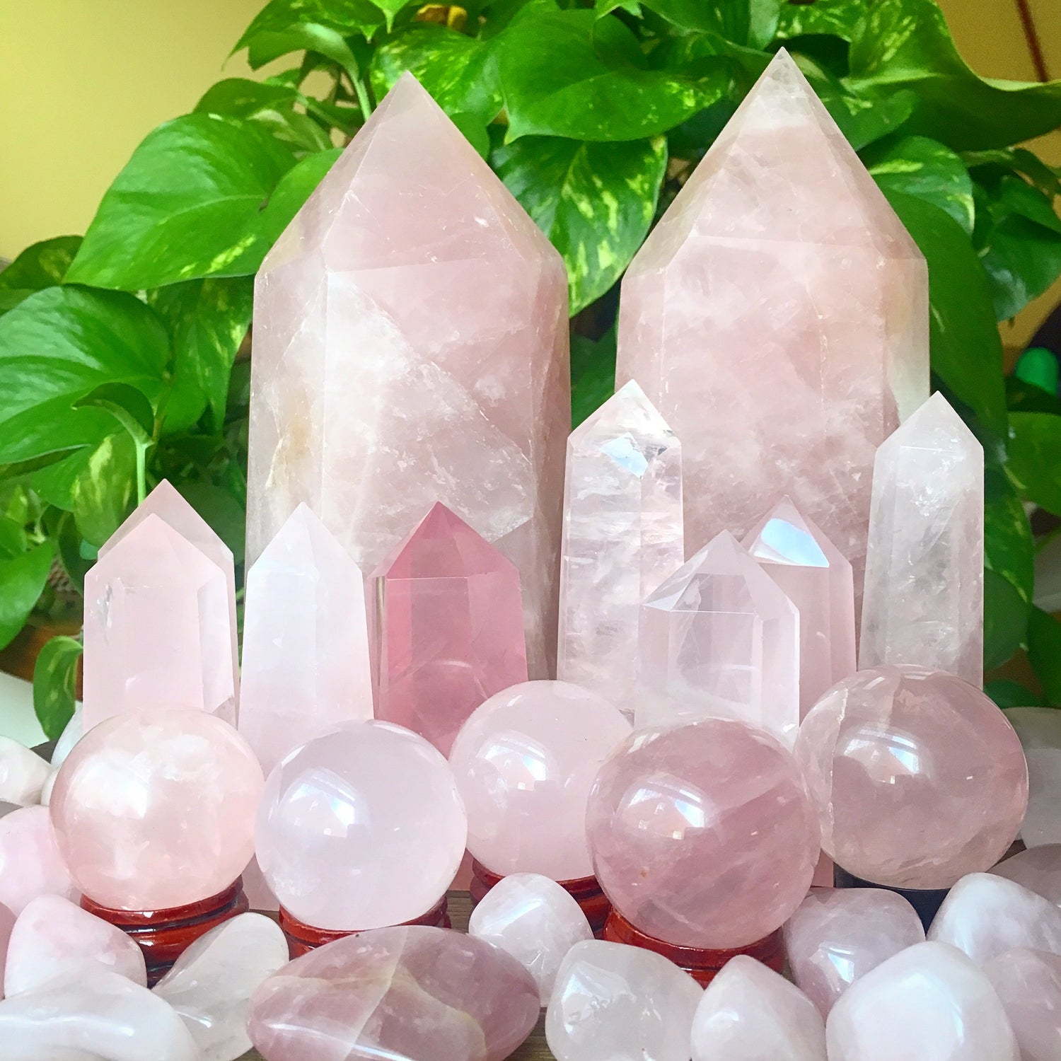 Rose Quartz