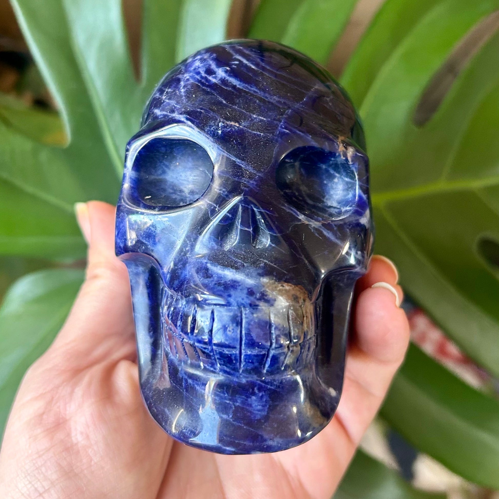 Blue crystal skull held in a hand with green foliage in the background