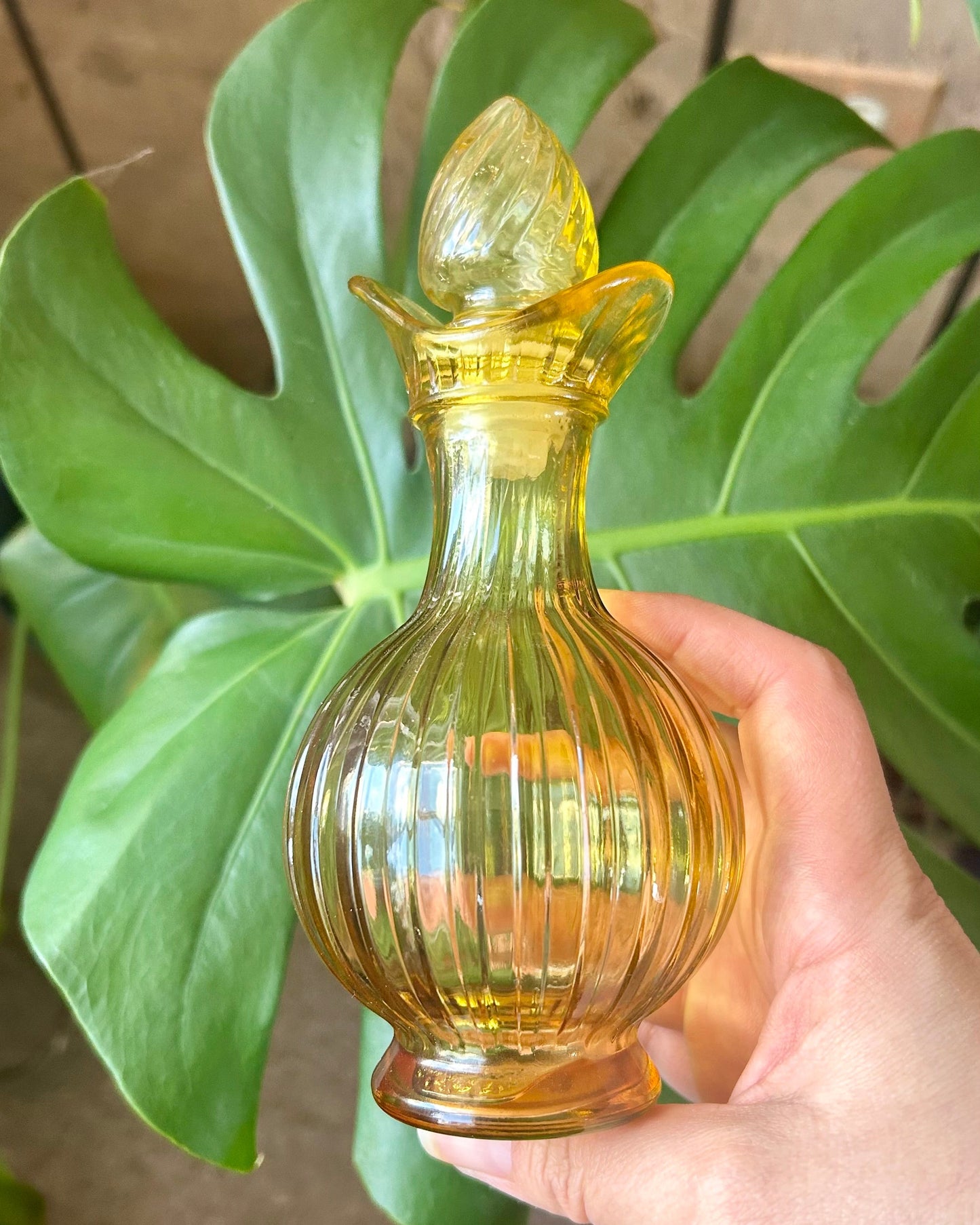 Hand holding a yellow glass bottle with a plant in the background