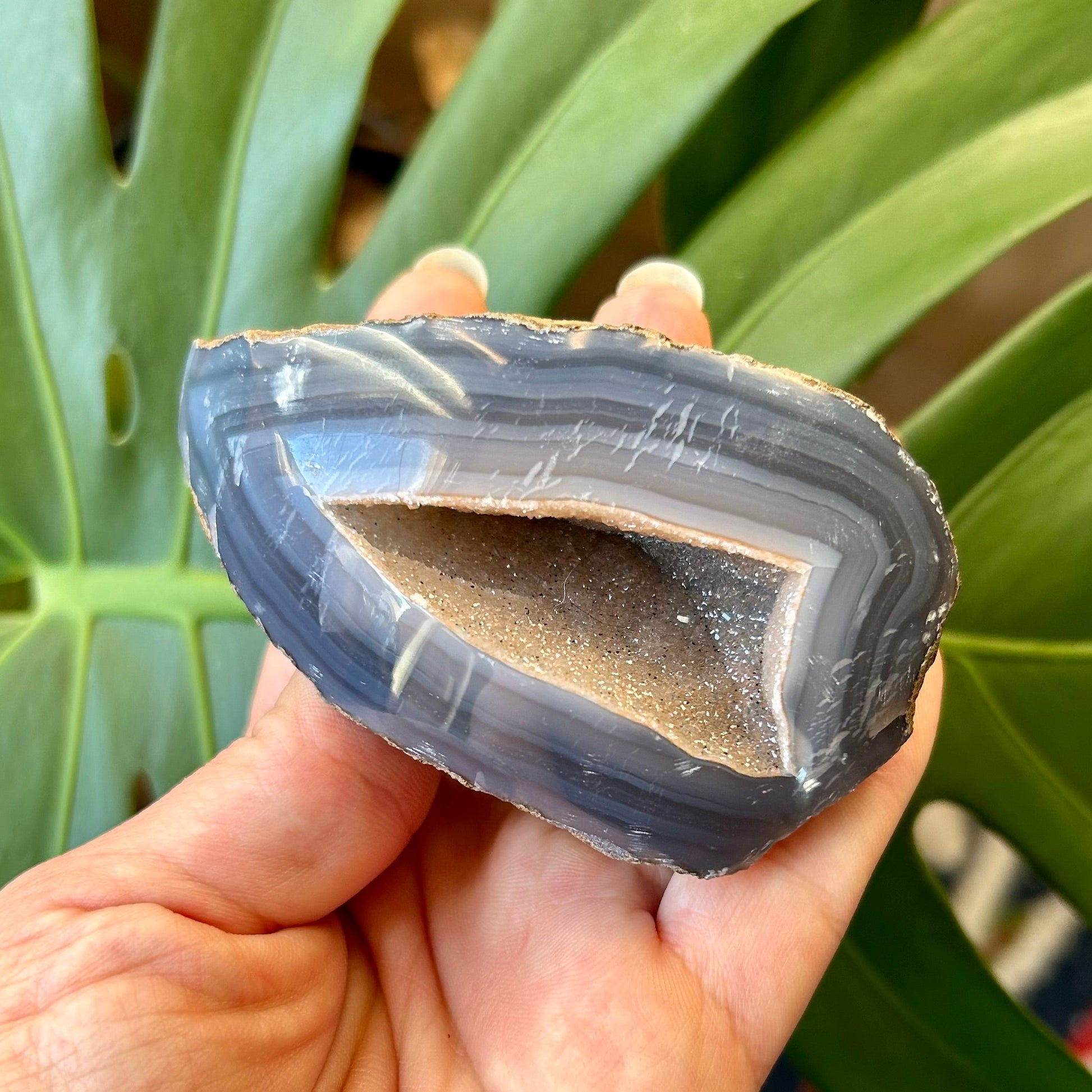 Hand holding a polished crystal against a green leafy background