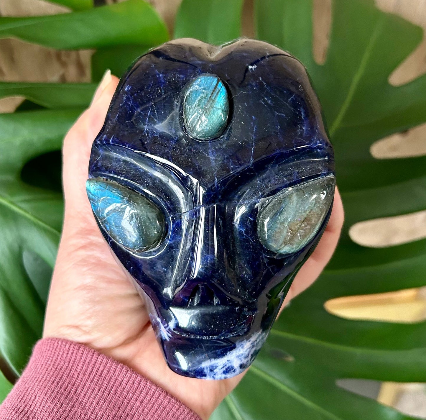 Sodalite Alien Head with Labradorite Eyes