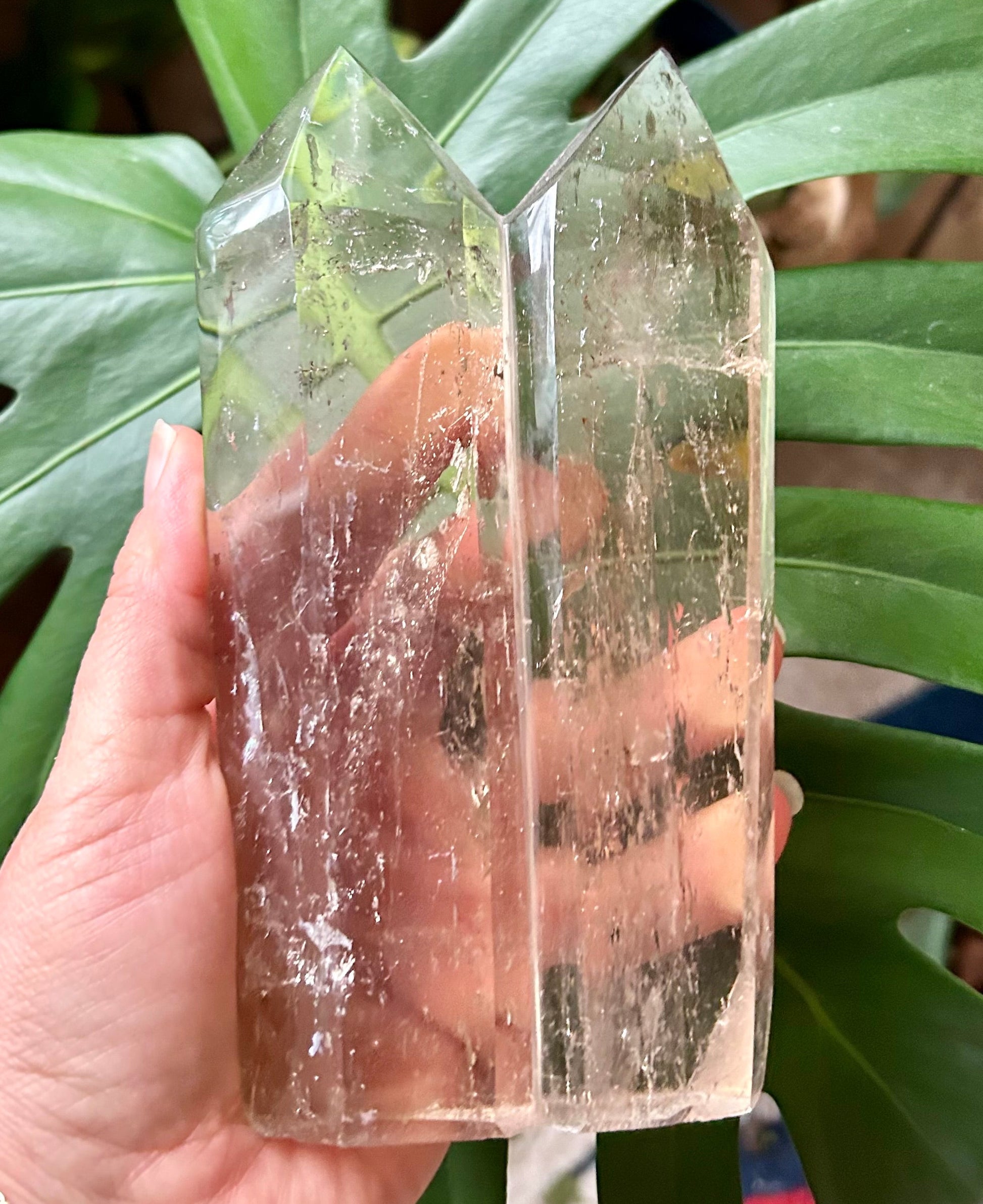Hand holding a crystal with a green leafy background