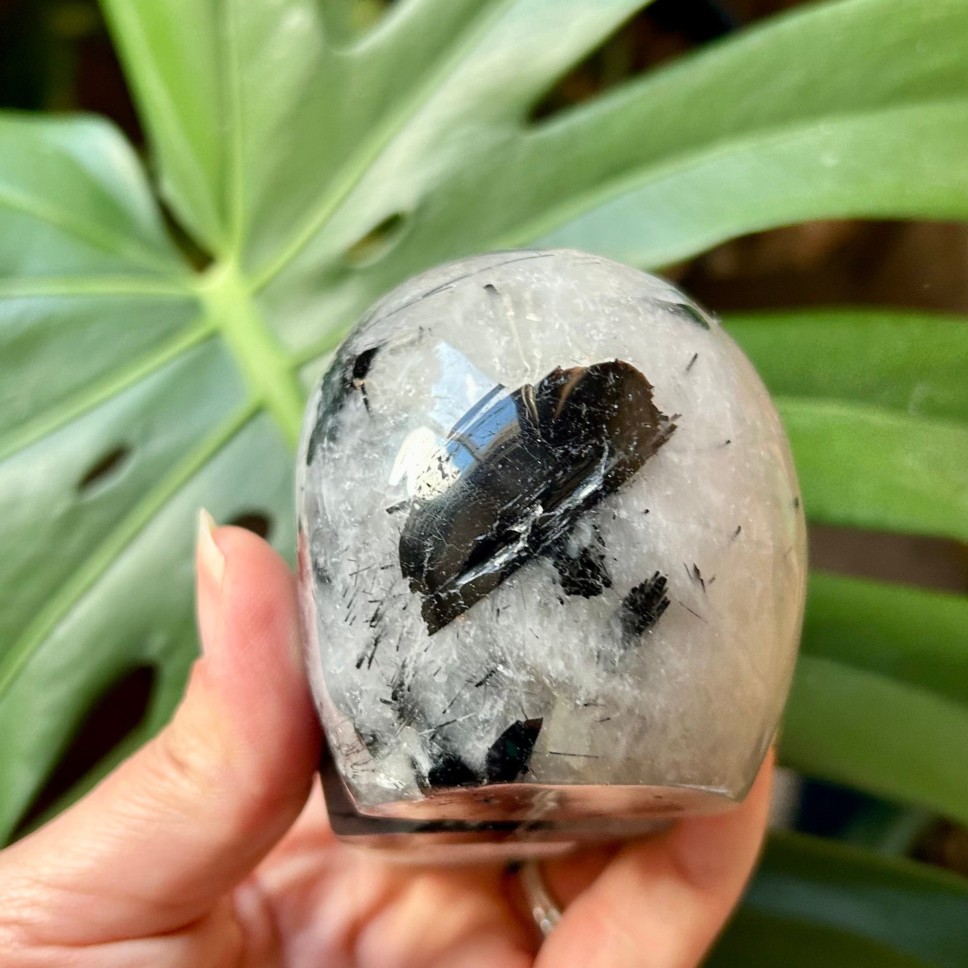 Hand holding a crystal ball with a blurred green leafy background