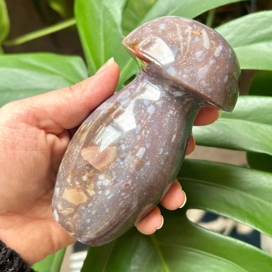 Person holding a decorative stone with a plant in the background