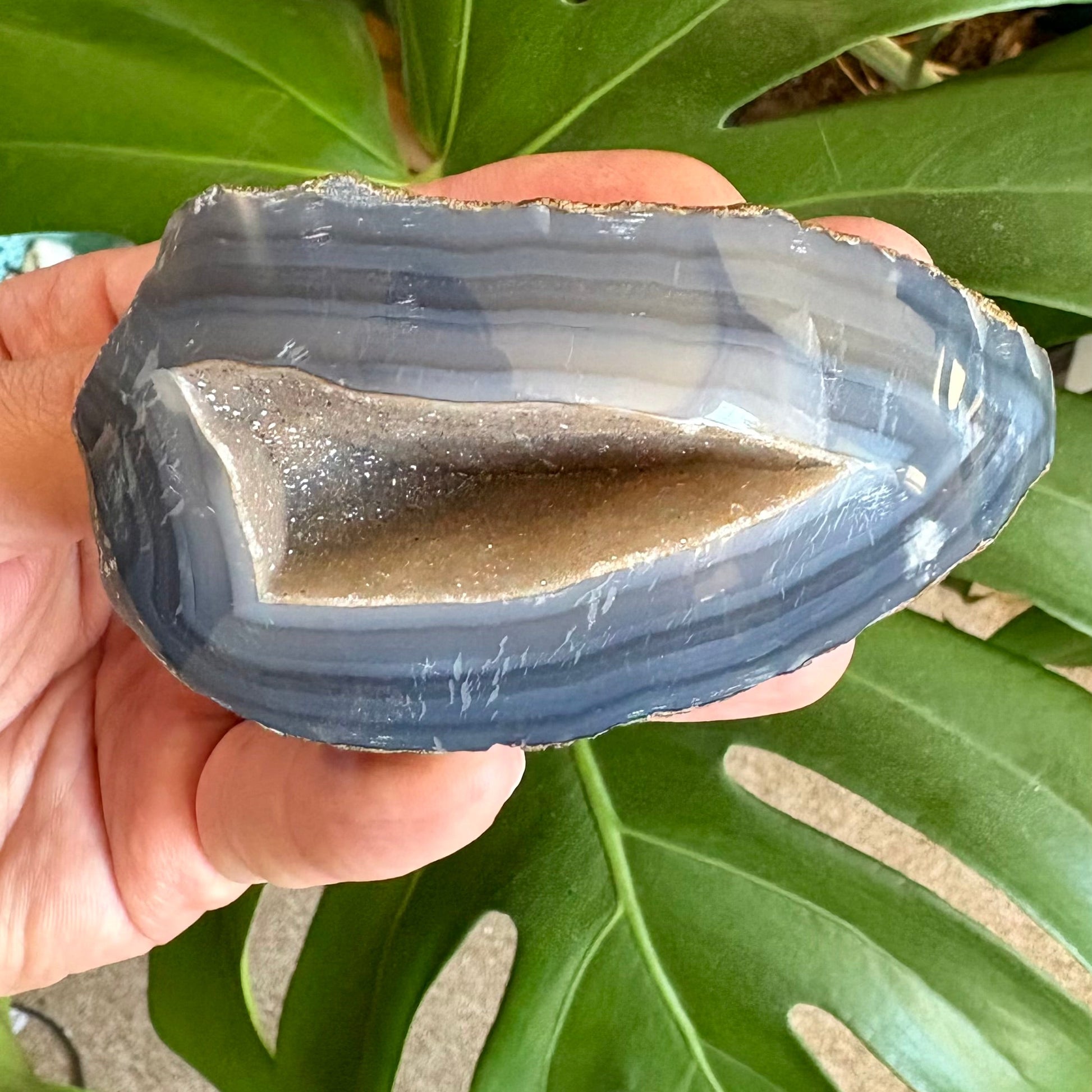 Person holding a blue and brown geode against a green leafy background