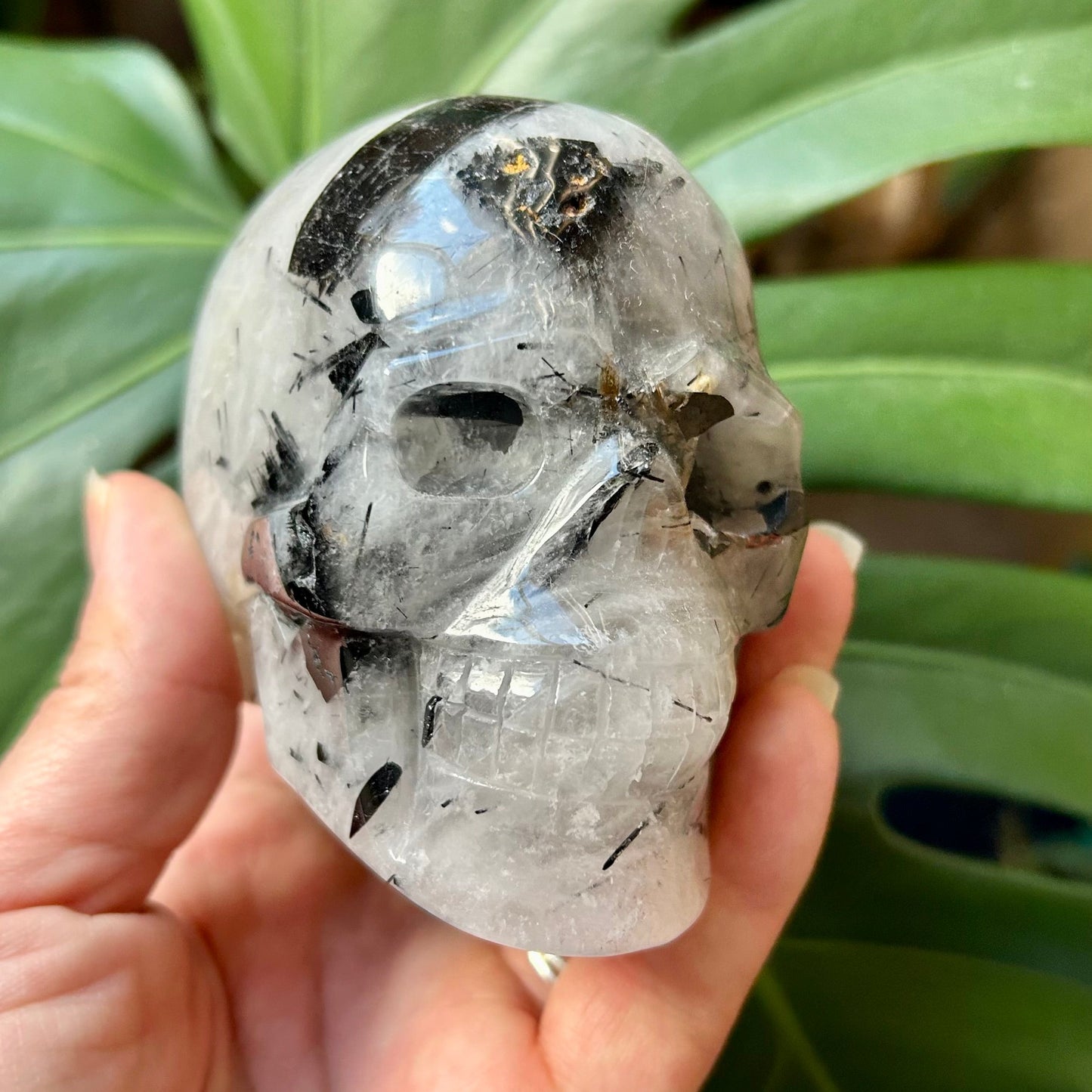 Crystal skull held in a hand with a blurred green leafy background
