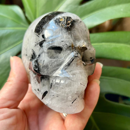 Crystal skull held in a hand with a blurred green leafy background