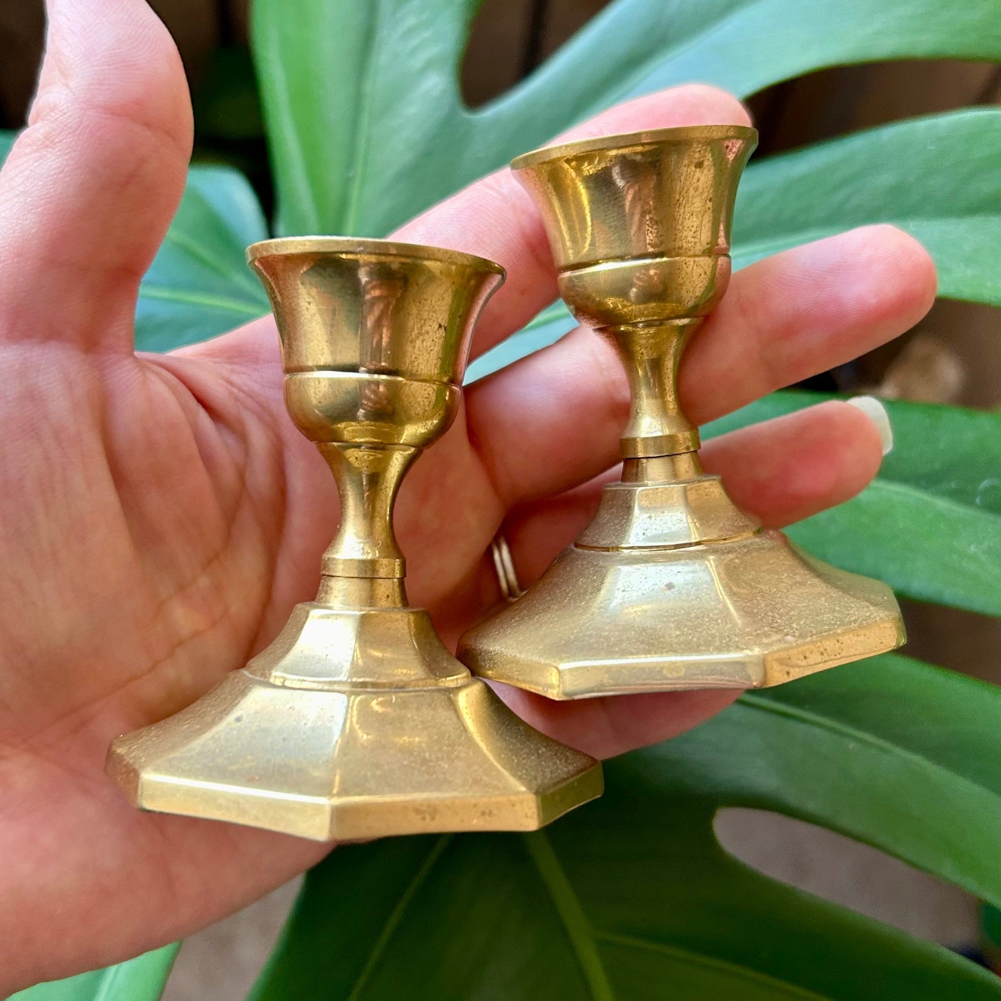 Two brass candle holders held by a hand with green leaves in the background