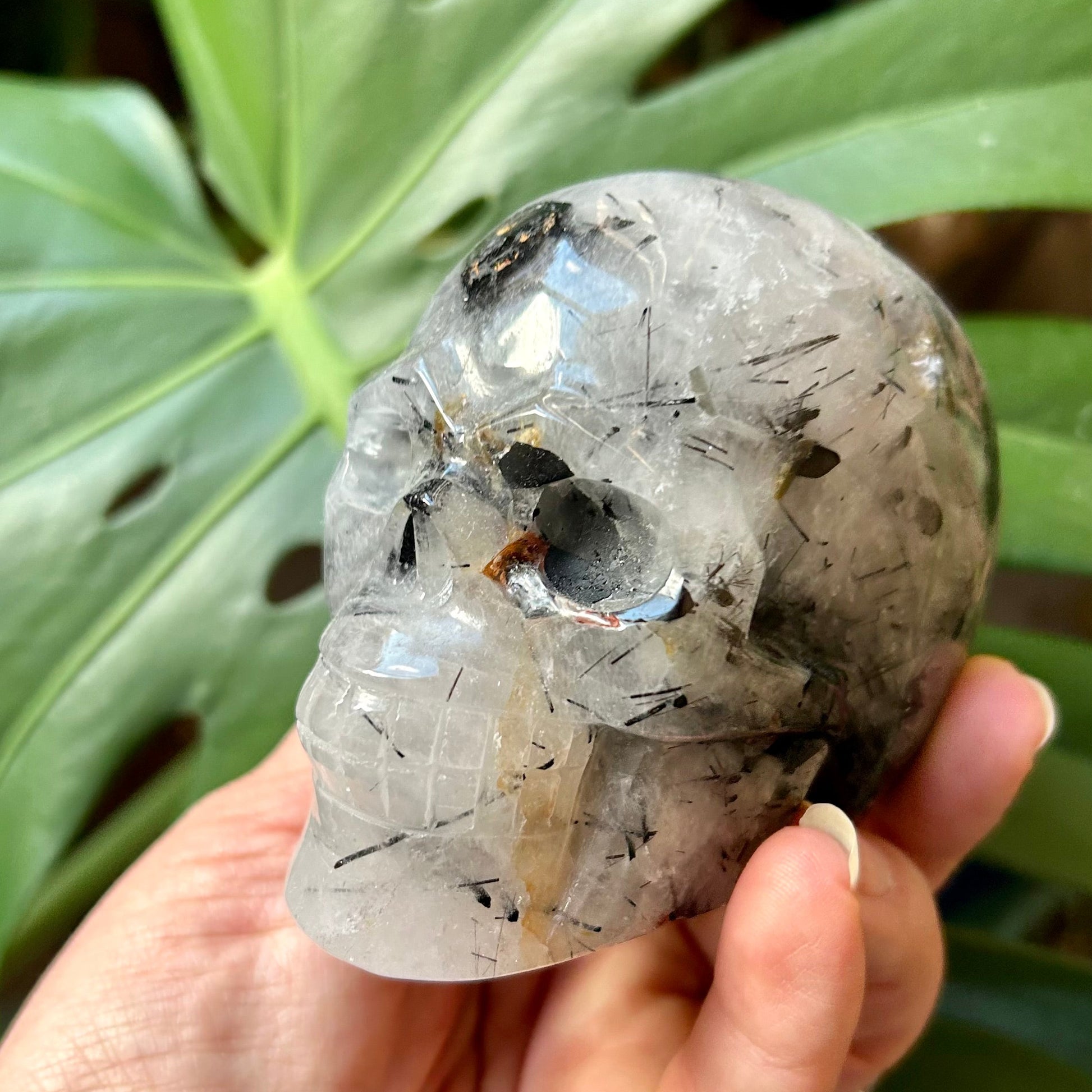 Hand holding a crystal with a blurred green leafy background