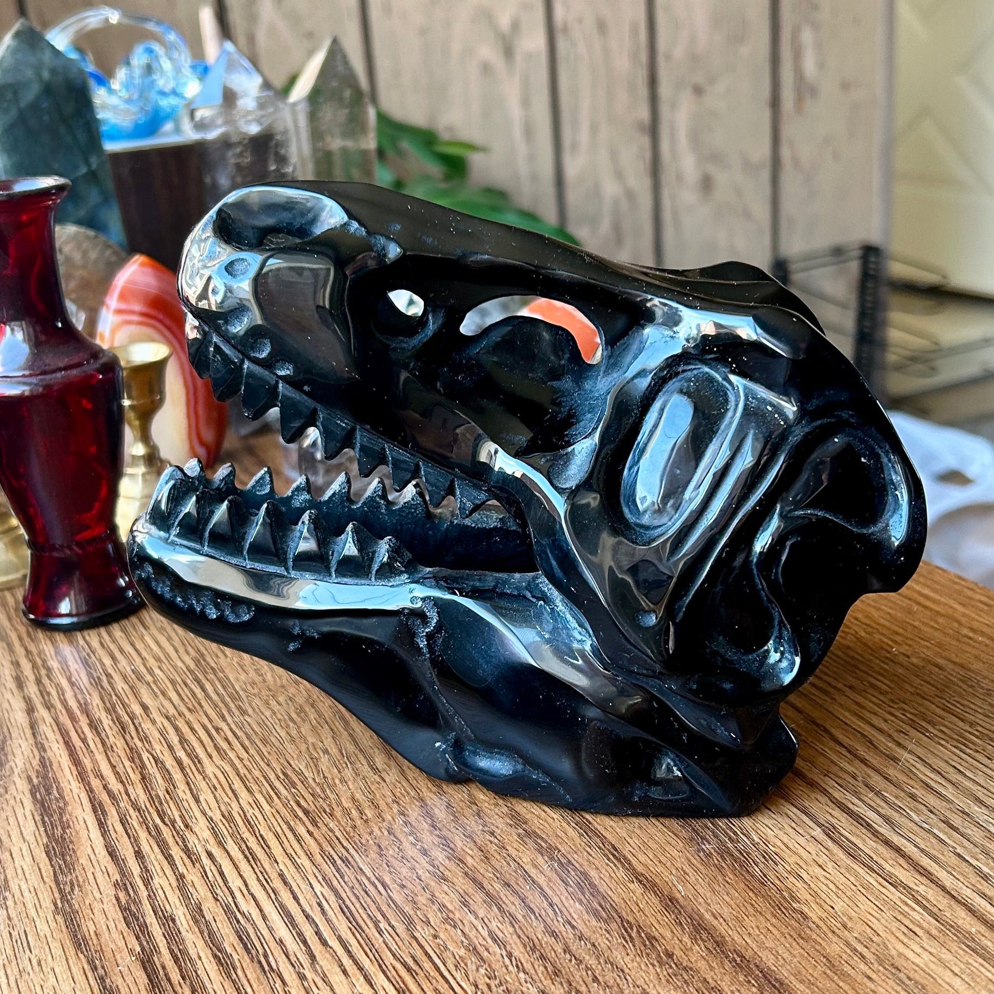 Black animal skull on a wooden surface with a blurred background