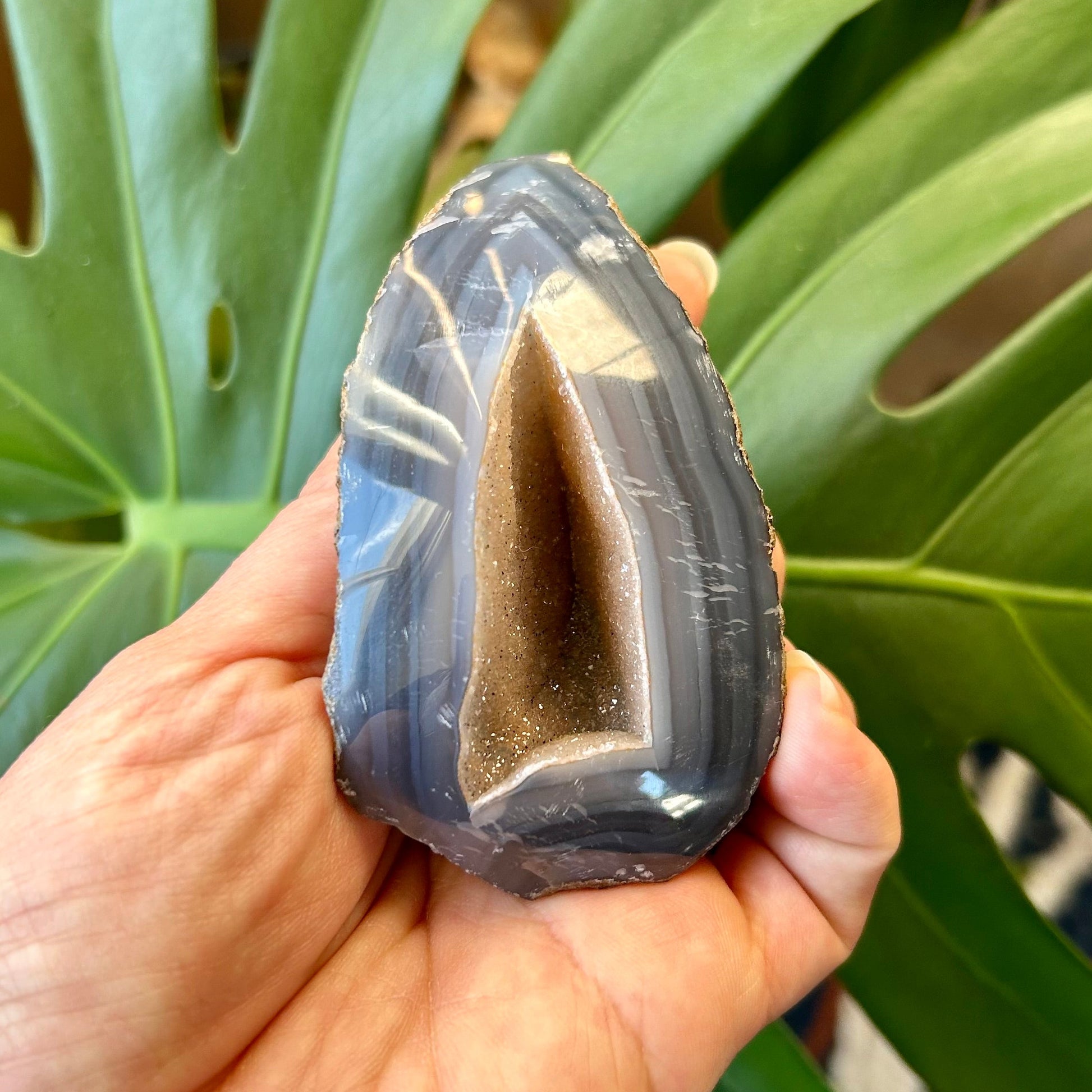 Hand holding a polished crystal against a green leafy background