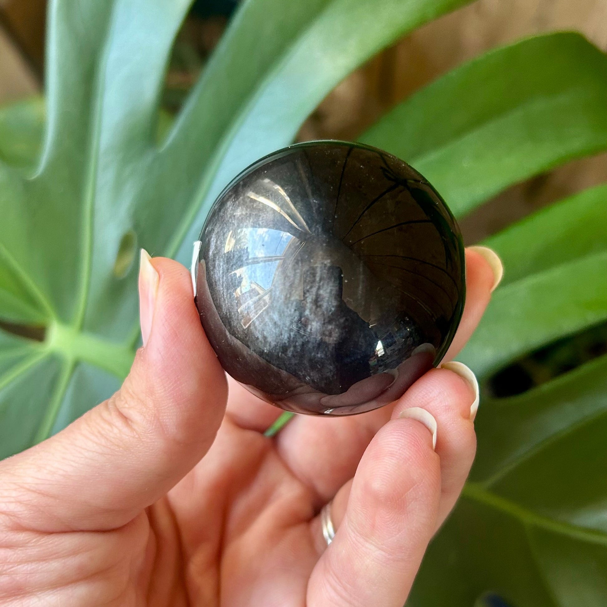 Hand holding a shiny black stone with green leaves in the background