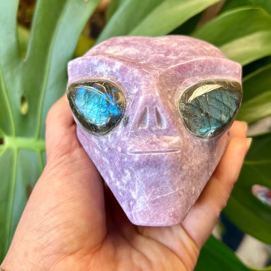 Hand holding a crystal alien head with green eyes against a leafy background