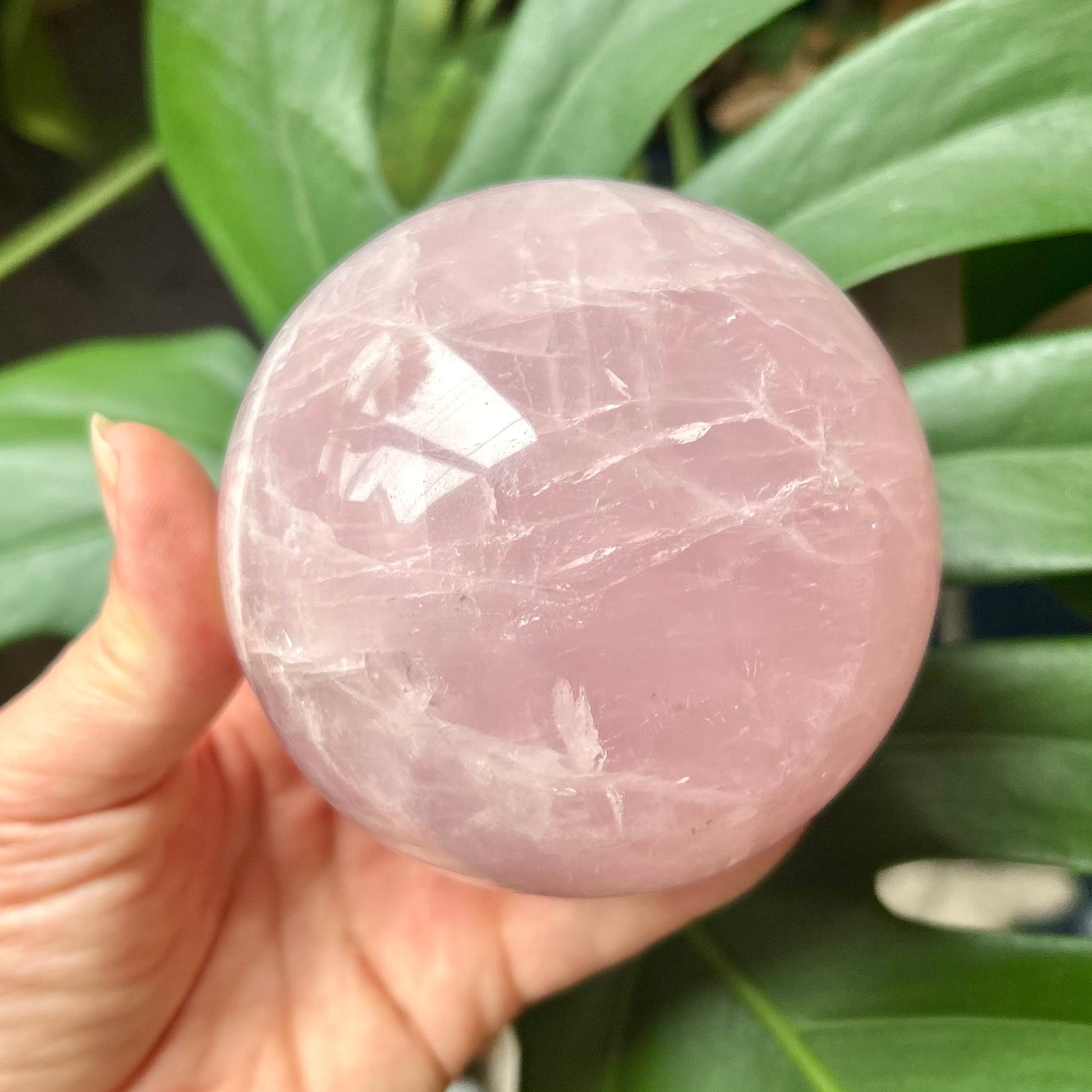 Hand holding a pink crystal ball with green foliage in the background