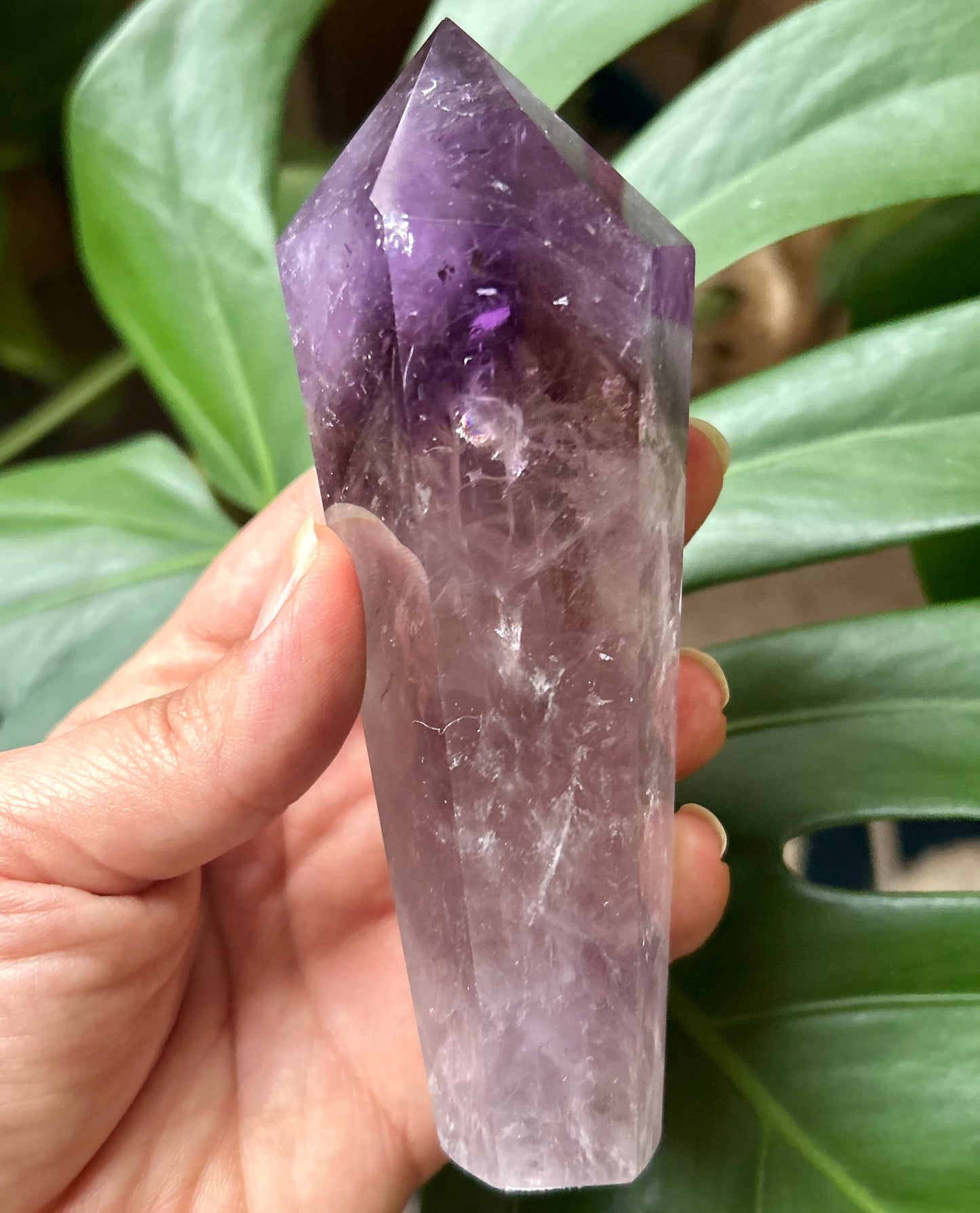 Amethyst crystal held by a hand with green leaves in the background