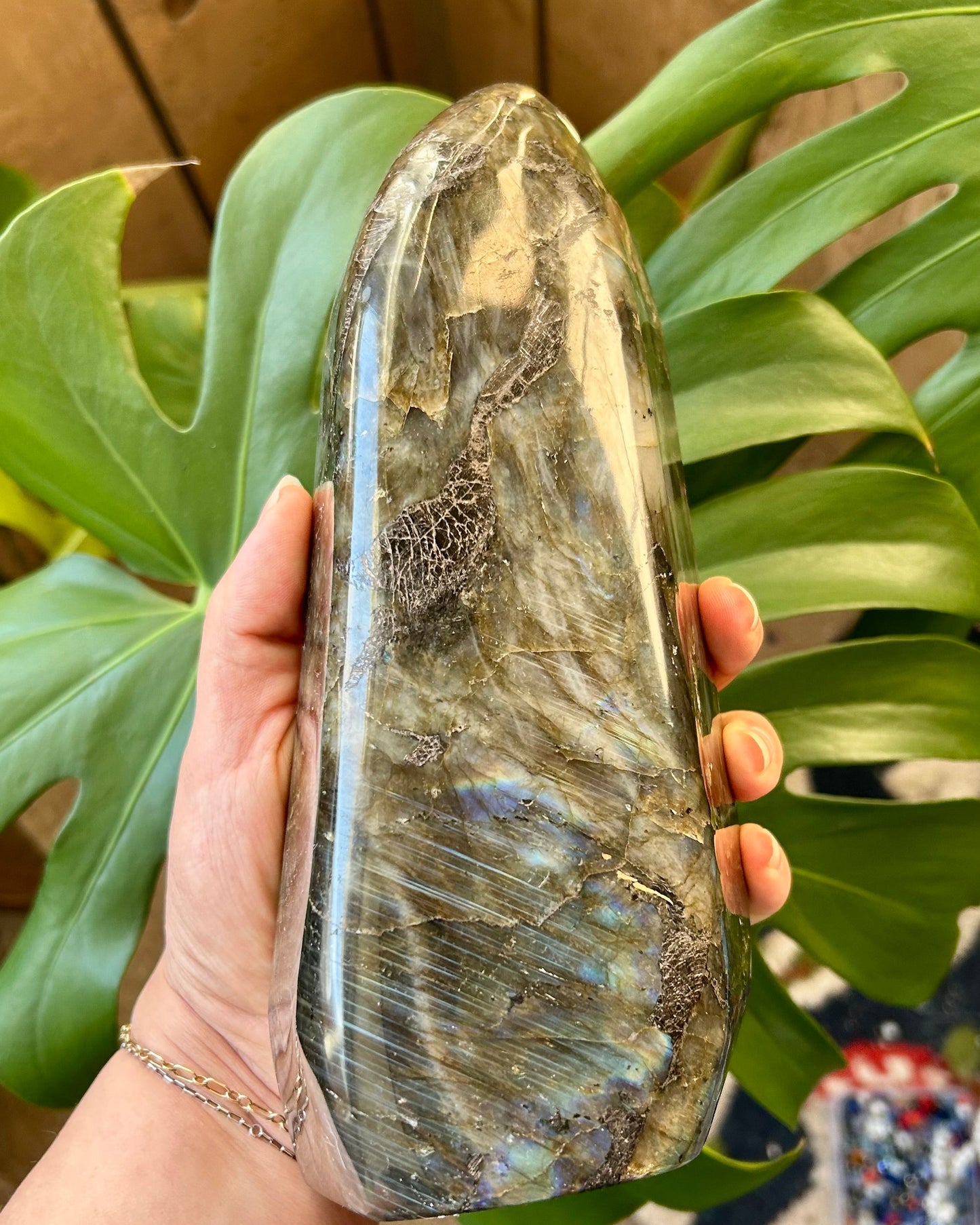 Hand holding a large polished labradorite stone with green leaves in the background
